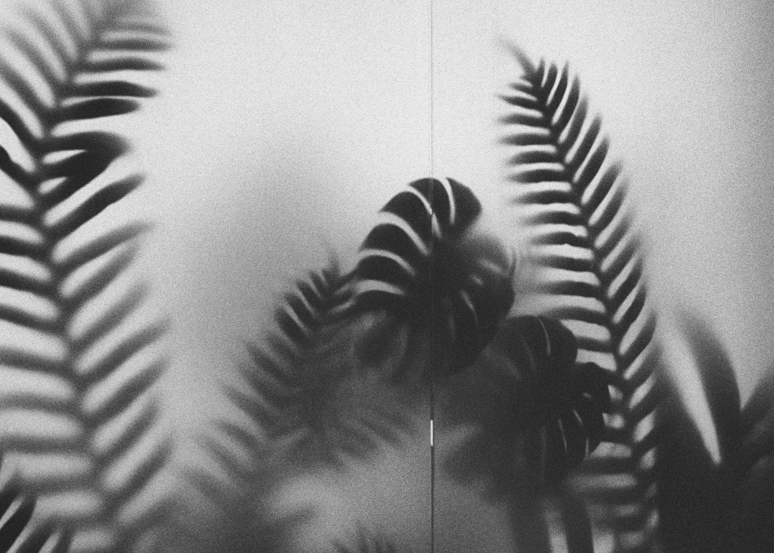 A New Year Around the City