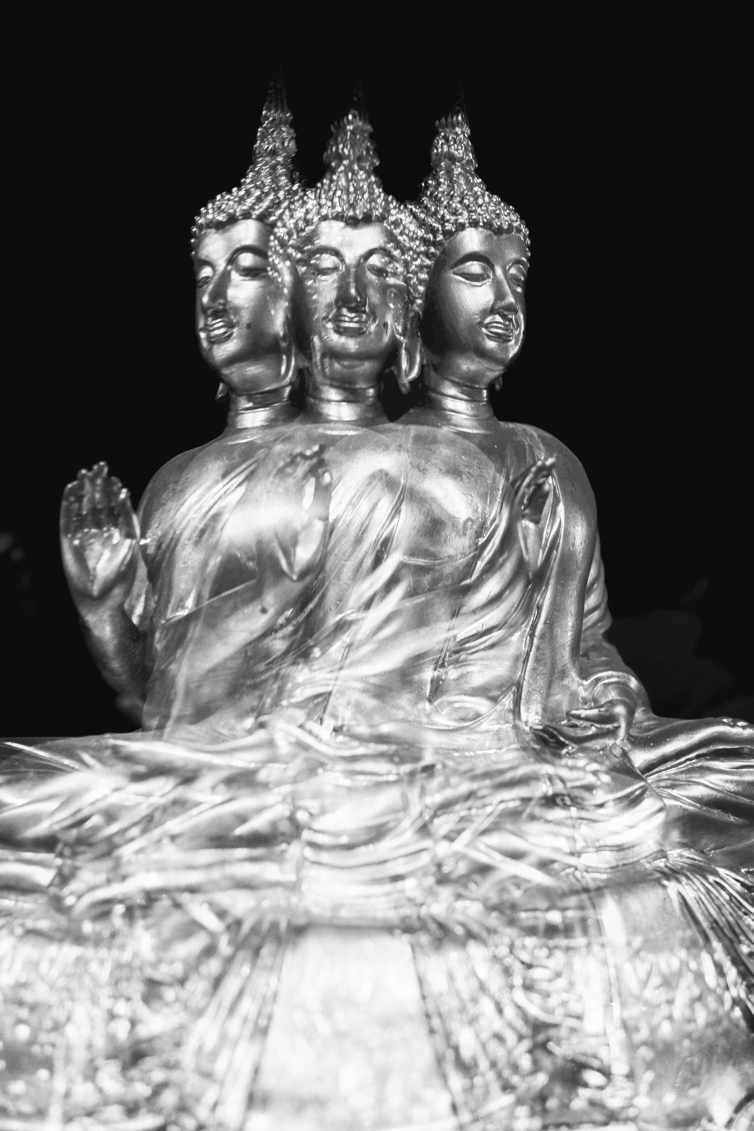 _DSF7385-Edit.jpg
