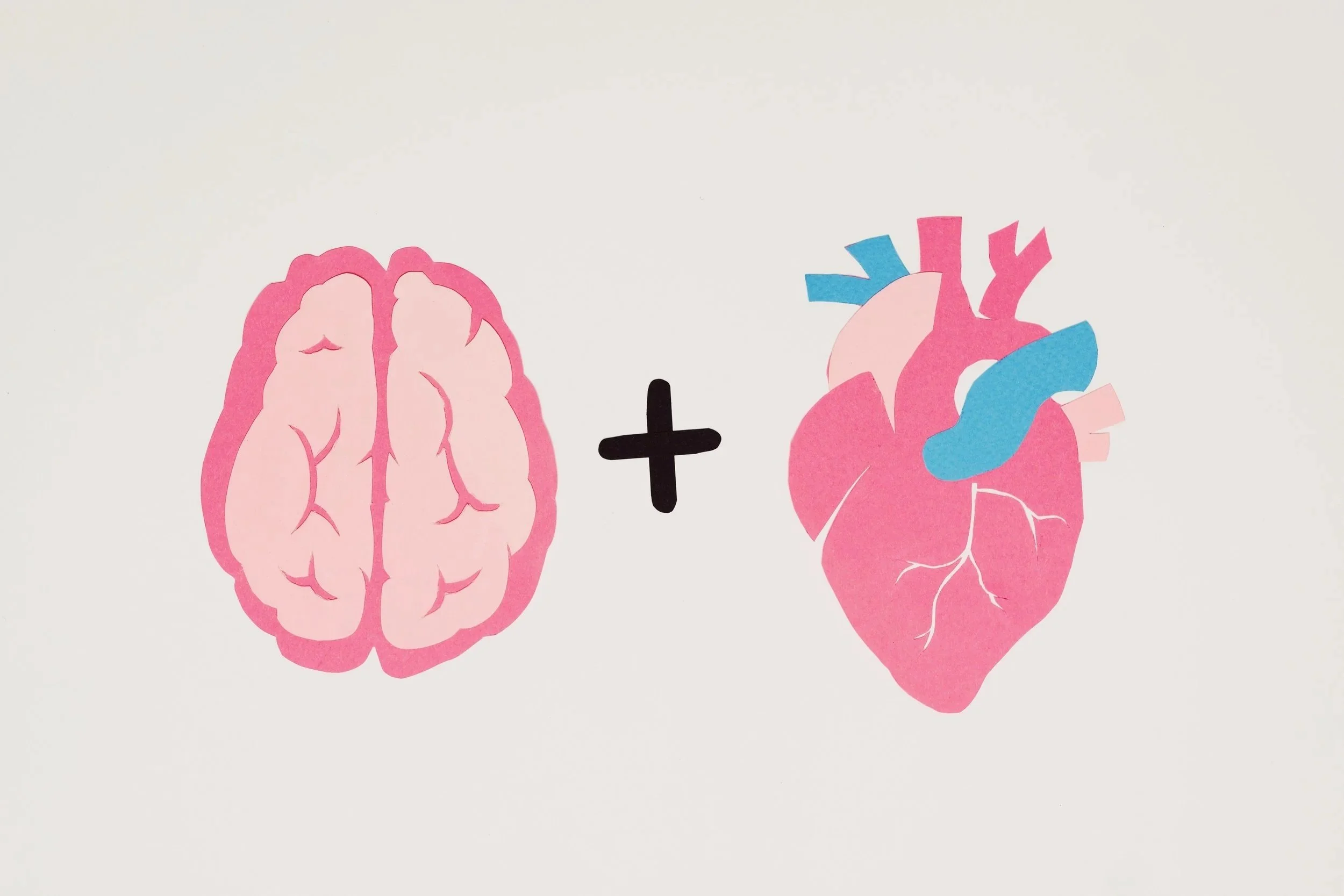 How Our Mental Health Affects Our Physical Health