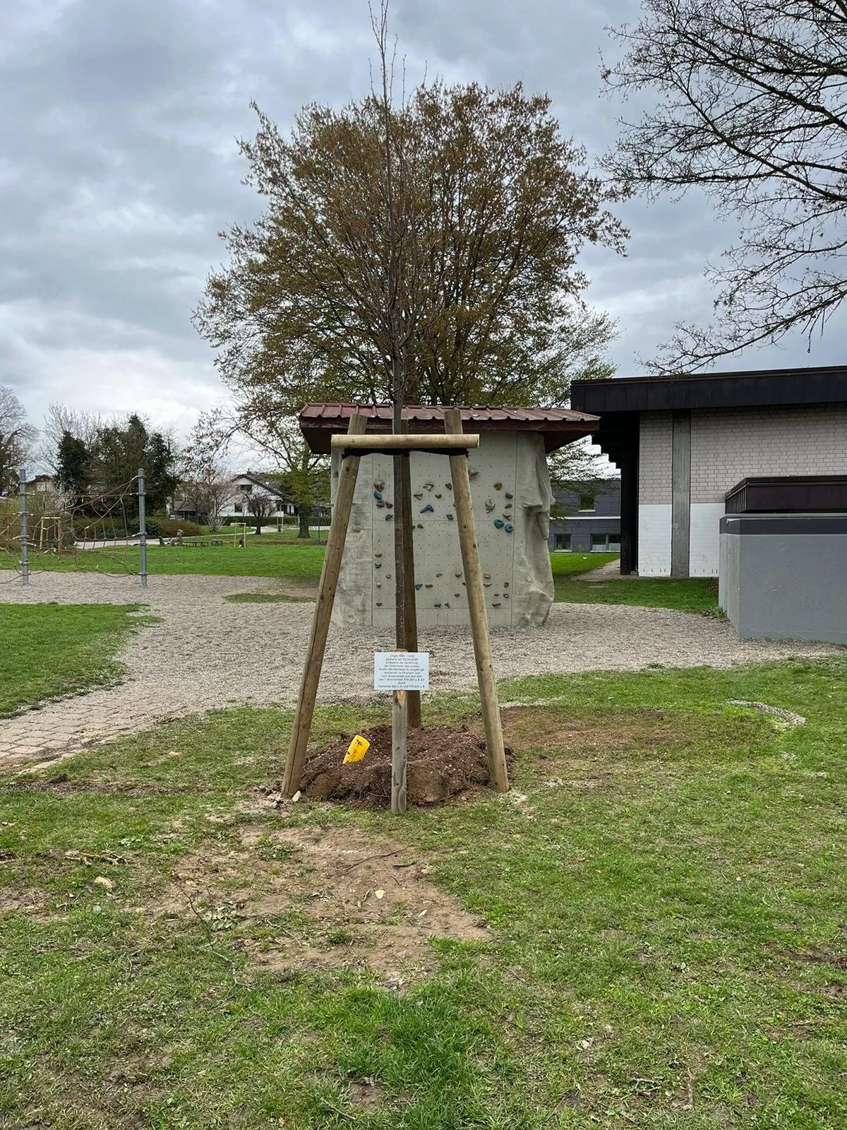 WhatsApp Image 2023-04-02 at 15.27.13.jpeg