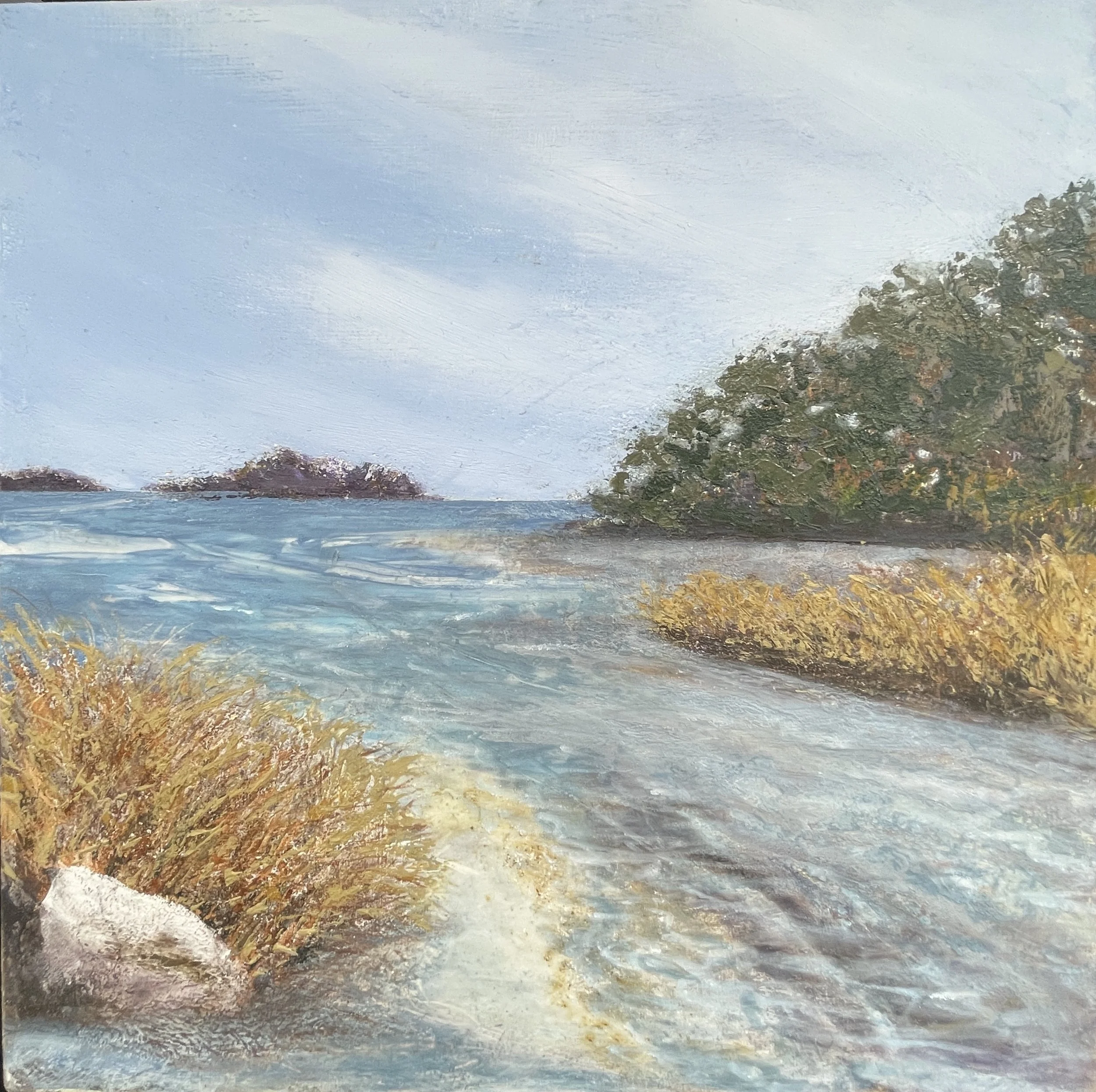 Estuary.JPG