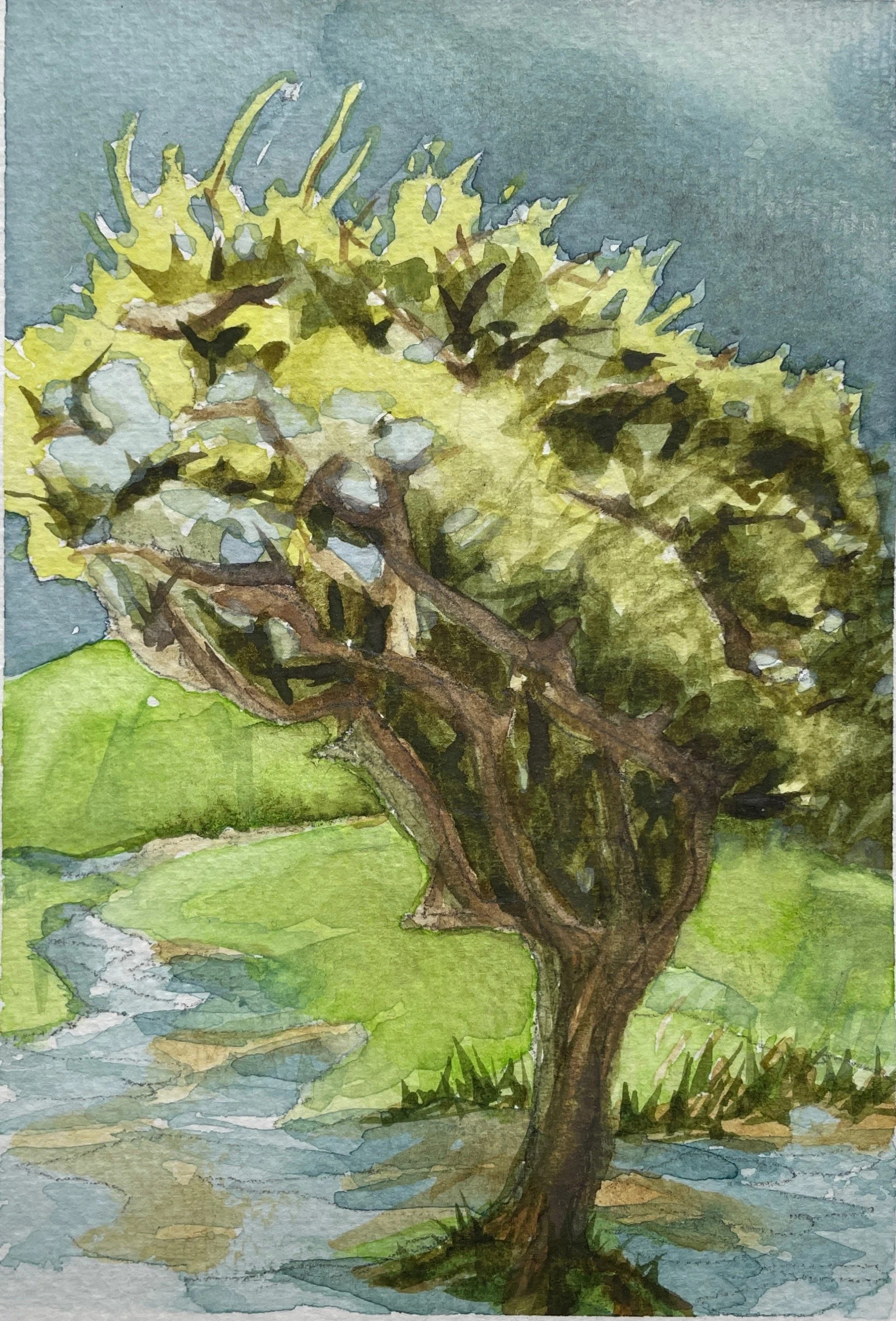 Rain in the Hedgerow II.jpg