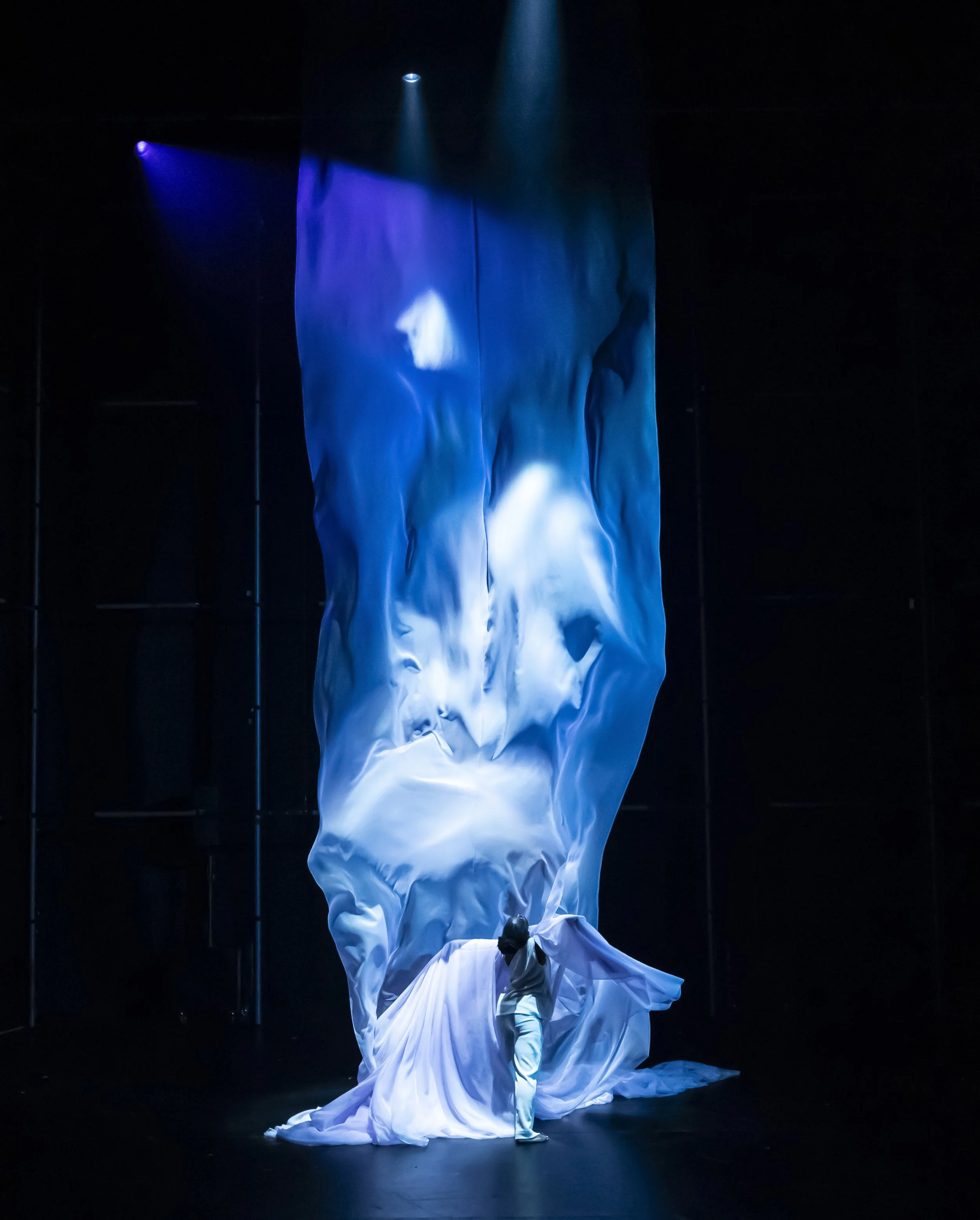 259_Ebony Scrooge_Pamela Raith Photography 2.jpg