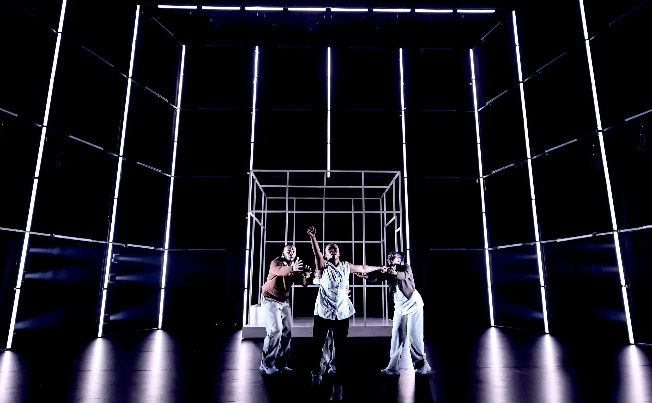 337_Ebony Scrooge_Pamela Raith Photography_crop.jpg