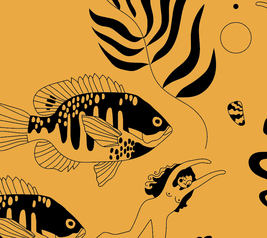 fisher lake copy.png