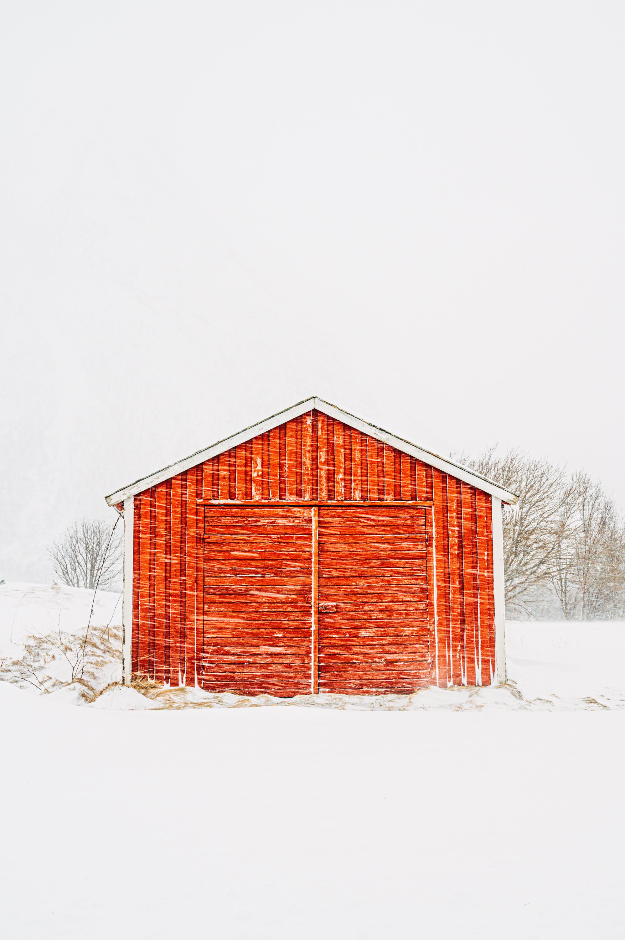 Snowstorm