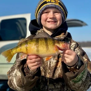 Late season Perch smiles!