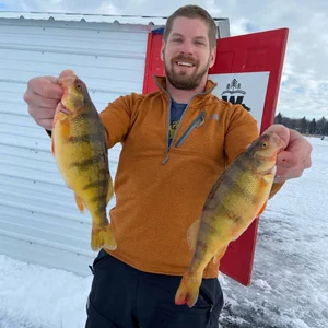 Saturdays are for the Perch