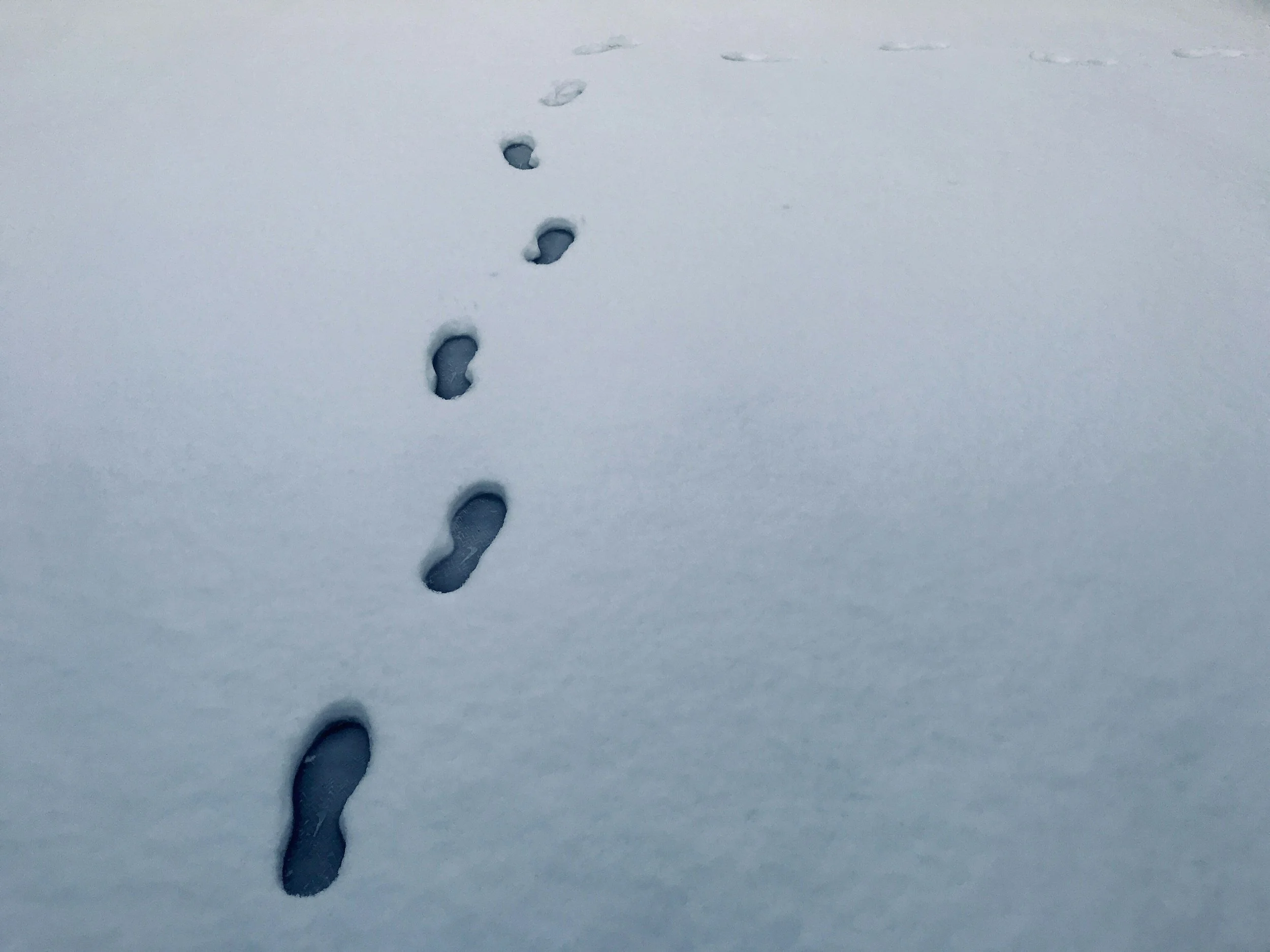 VTH3 Trail #083: 20 Gallons of Yellow Snow
