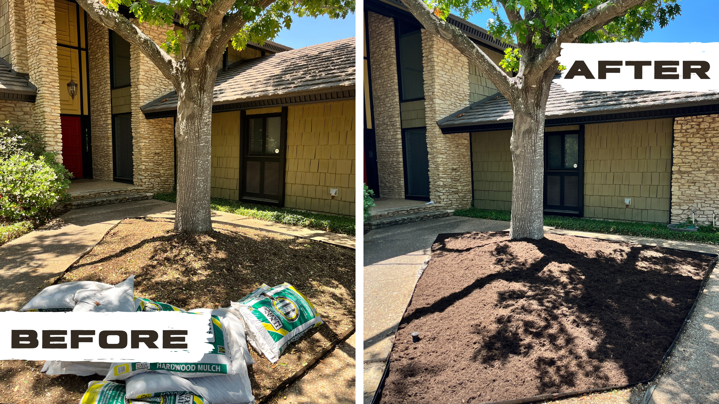 Before and after mulching around a tree research triangle