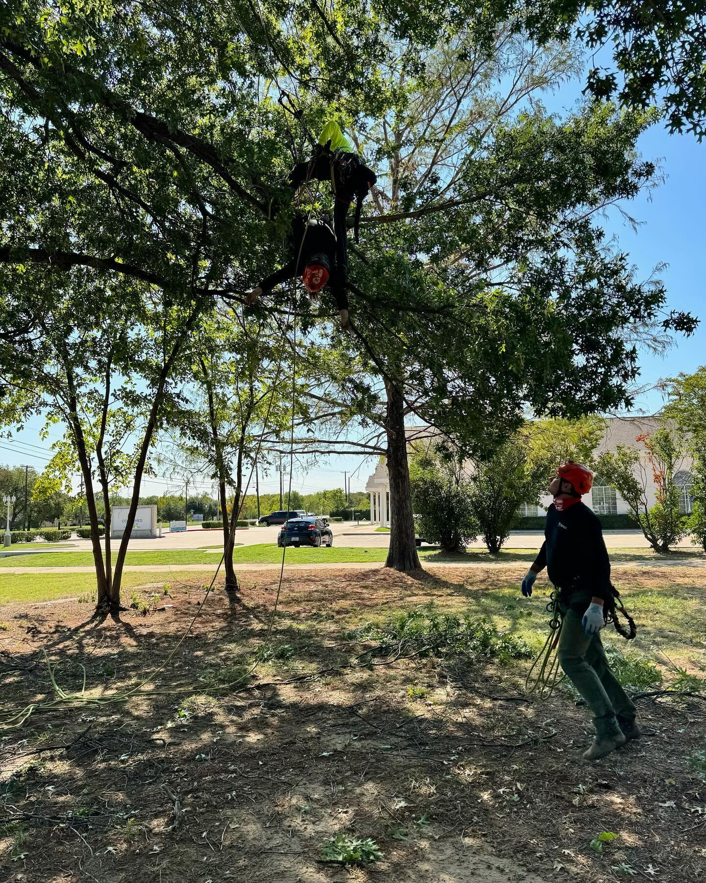 Staying safe doing what we do is essential. This weekend we joined ArbPros for an aerial rescue workshop. Regularly practicing important skills like this is vital!

We also look forward to partnering with ArbPros and @jlmatthewsco for upcoming worksh