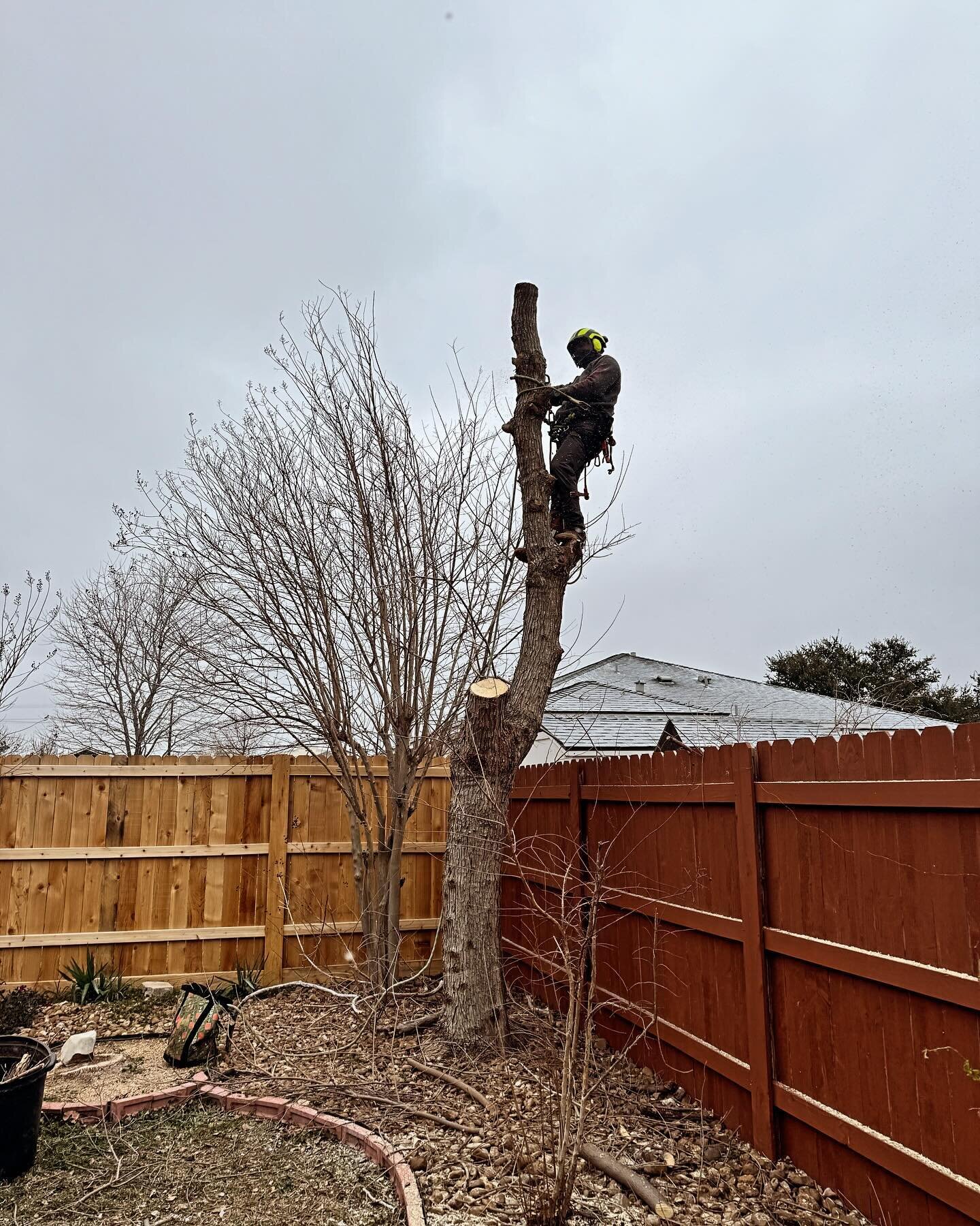 Knocked out a frosty, sketchy removal this morning.
Stay warm Texas!

#treeremovalservice #treeservicecompany #treeremovals #treeworklife #treework #treeclimbing #treeclimber #centraltexas #centraltx #georgetowntx