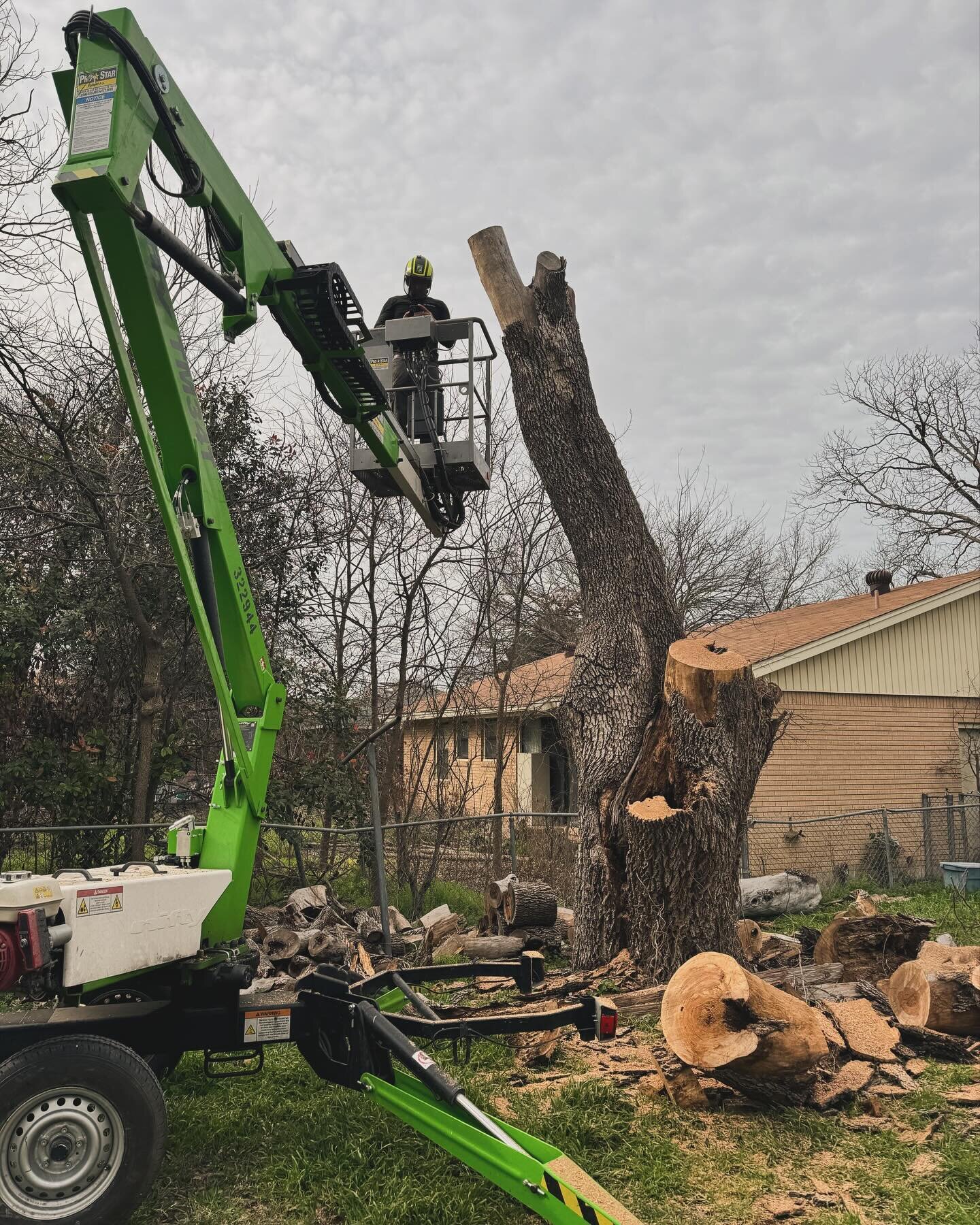 On February 8, 2024 we had a large ash tree in our back yard, cut down by Andrew and the team at Breitbarth Tree Techs.  The tree had been cabled back in 2007, and had started dying several years back.  The ice storm of 2023 finished it off and it ne