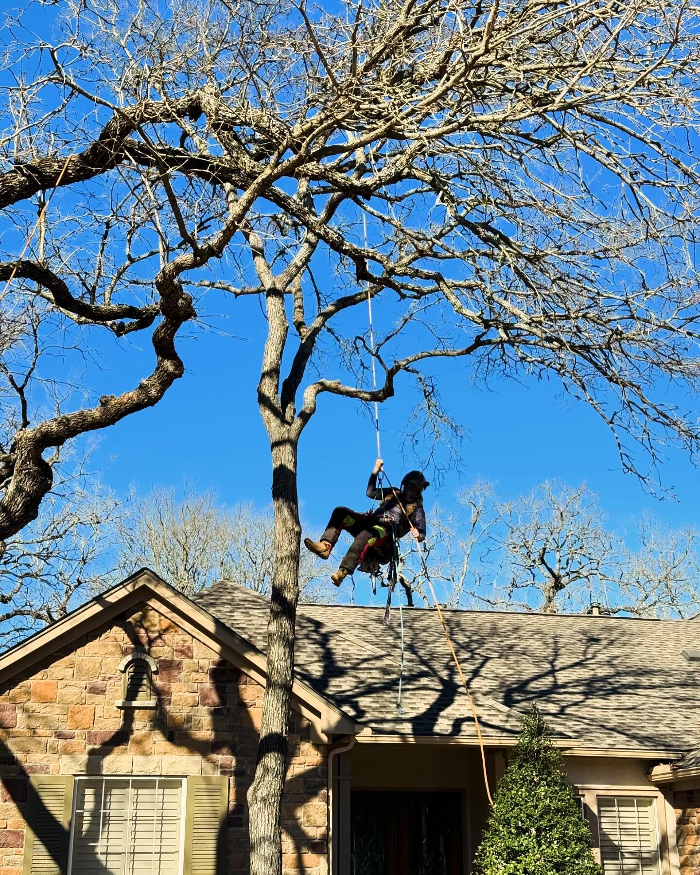 Have you always wanted to take your professional tree climbing to the next level? Check us out at ArbPros.com for our upcoming classes and events!🌳🪓