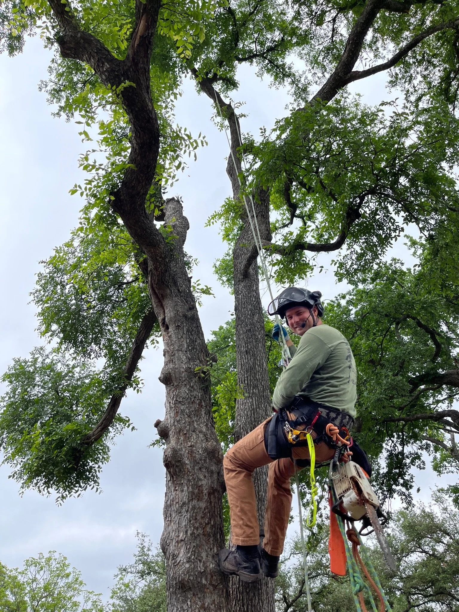 ISA certified arborist Andrew Breitbarth
