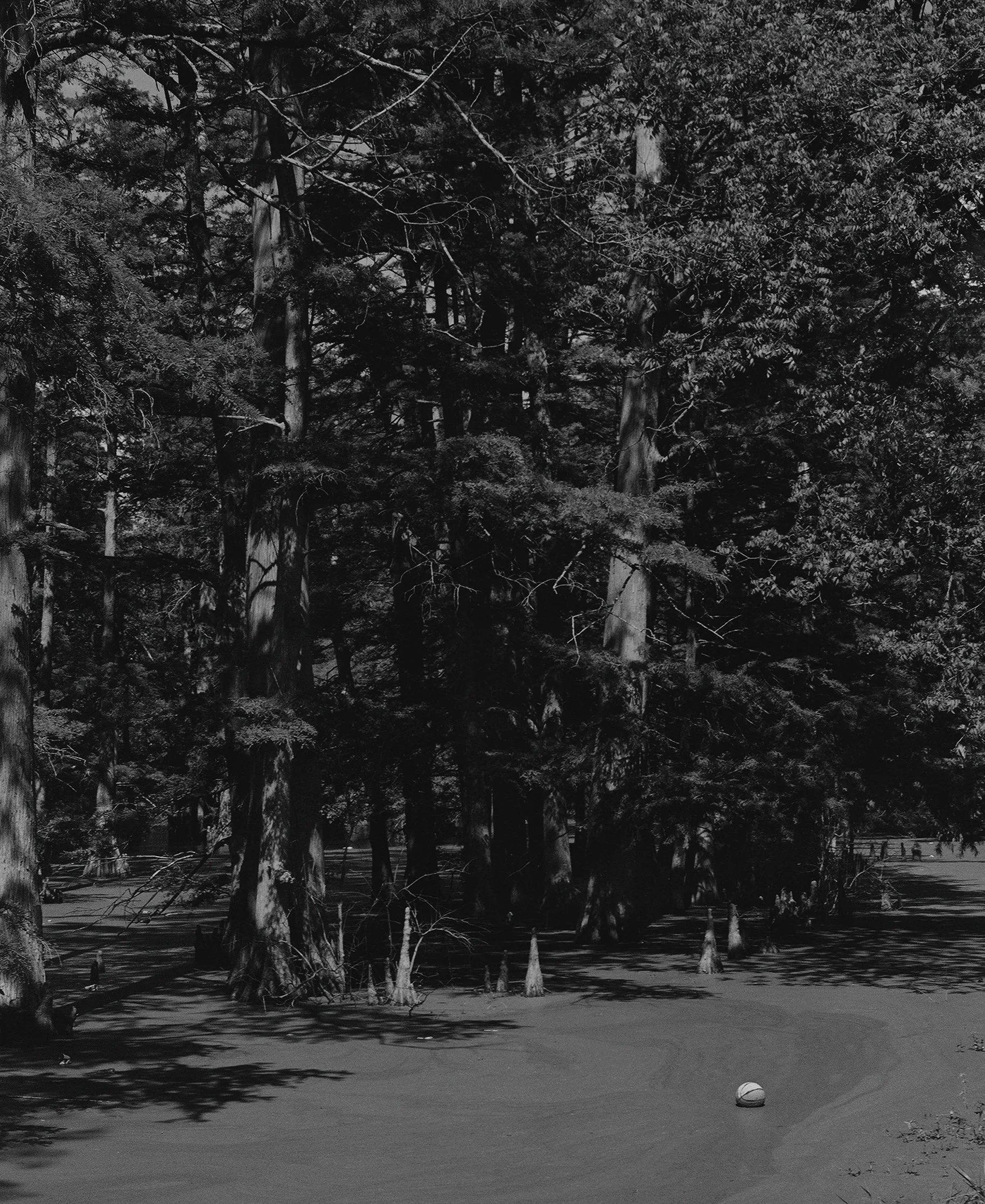 Stranded on the Bayou (2025)