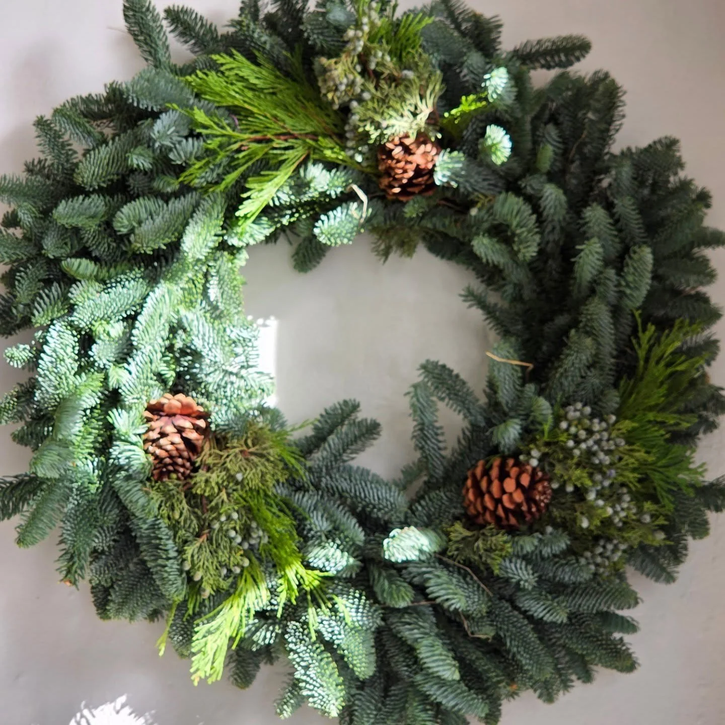 Wreath workshop is up on the website!  Join us Dec 7 for a fun class decorating wreaths!  Link in bio!
#wreathworkshop 
#sdwreathclass