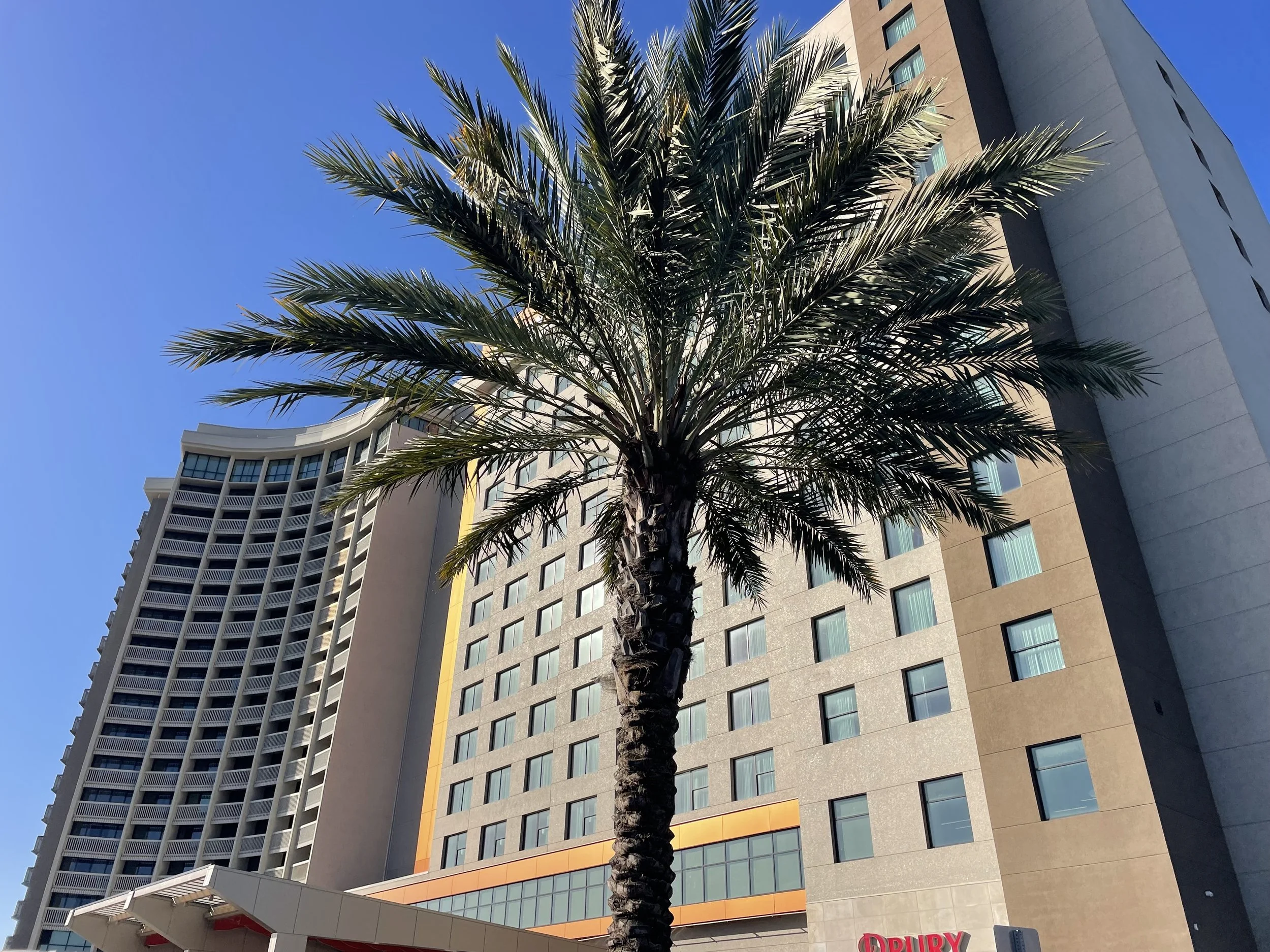 Take The Fear Out, Orlando!