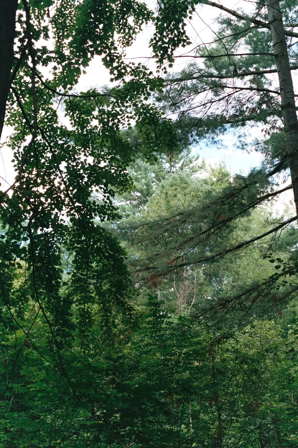 AbshereAA038.jpg