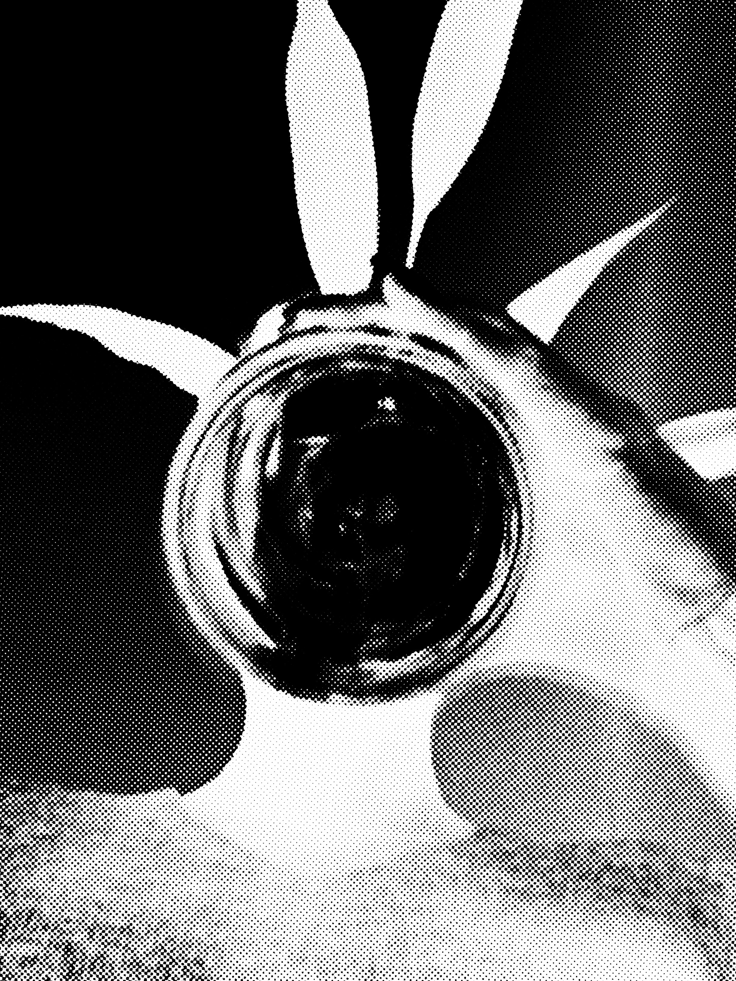 I also changed the contrast multiple times throughout the editing process until I was satisfied with the result. I added the final touches with halftone filter then I added more contrast.