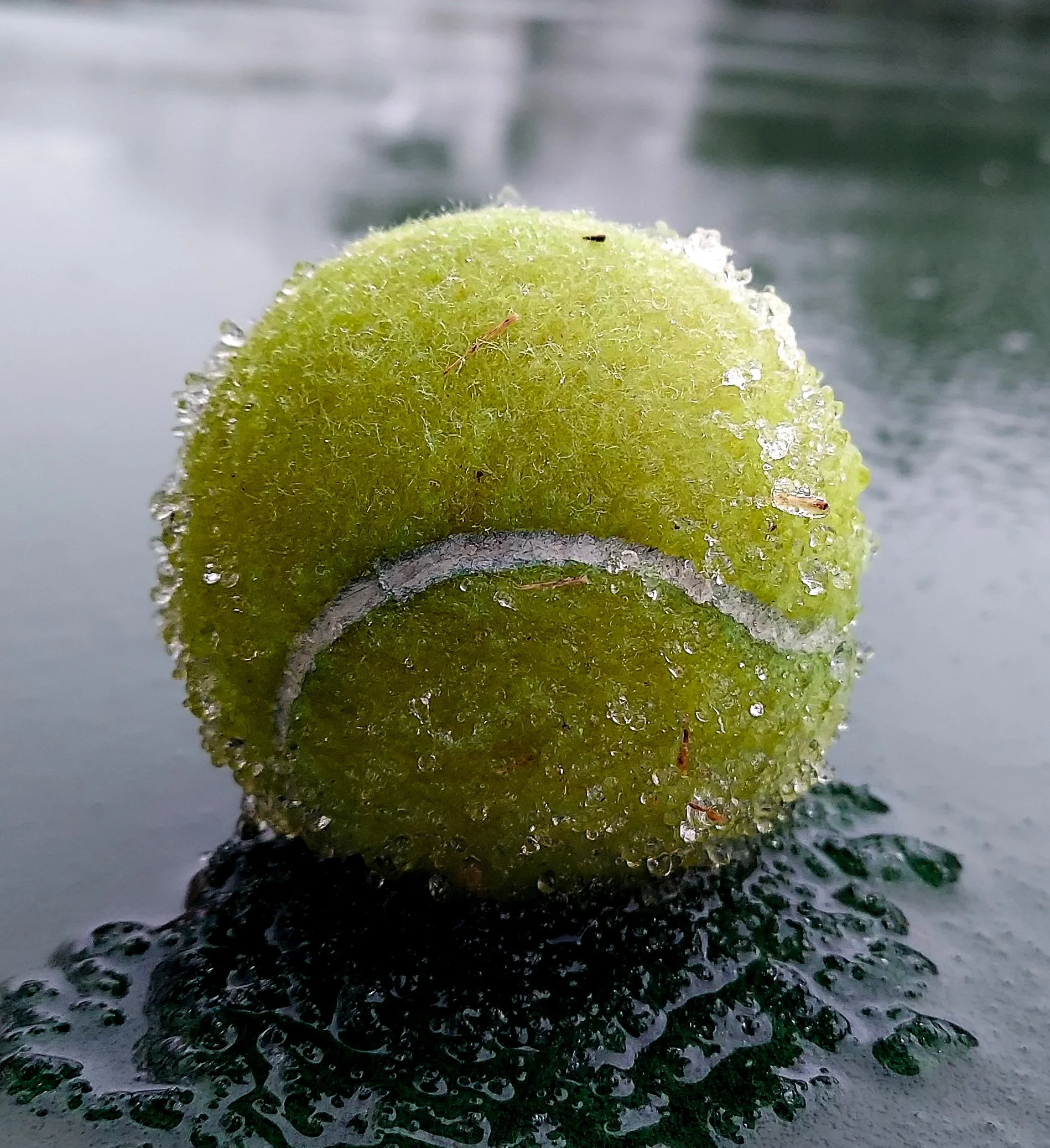 Frozen Tennis Ball (2026)