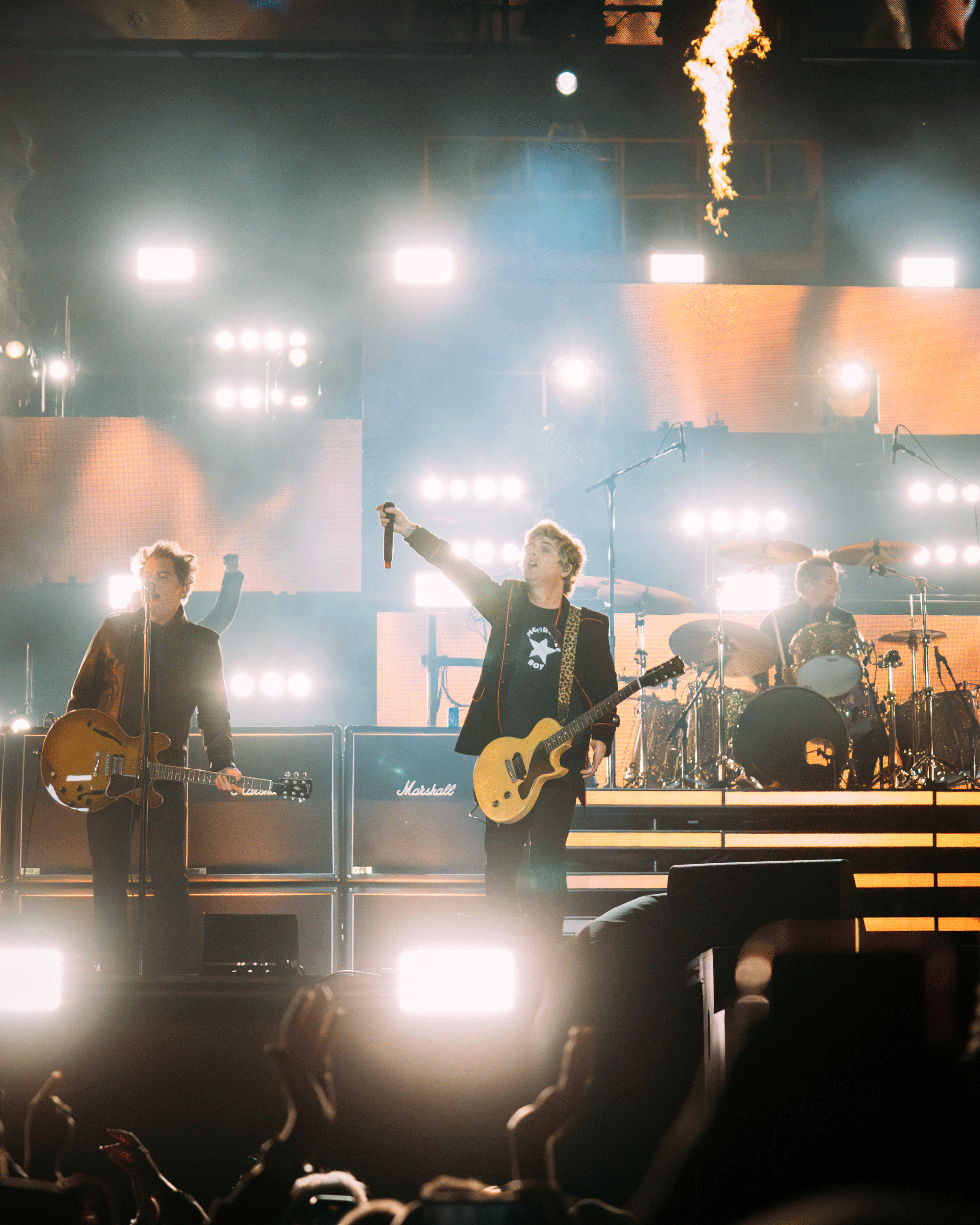 GreenDay-14.png