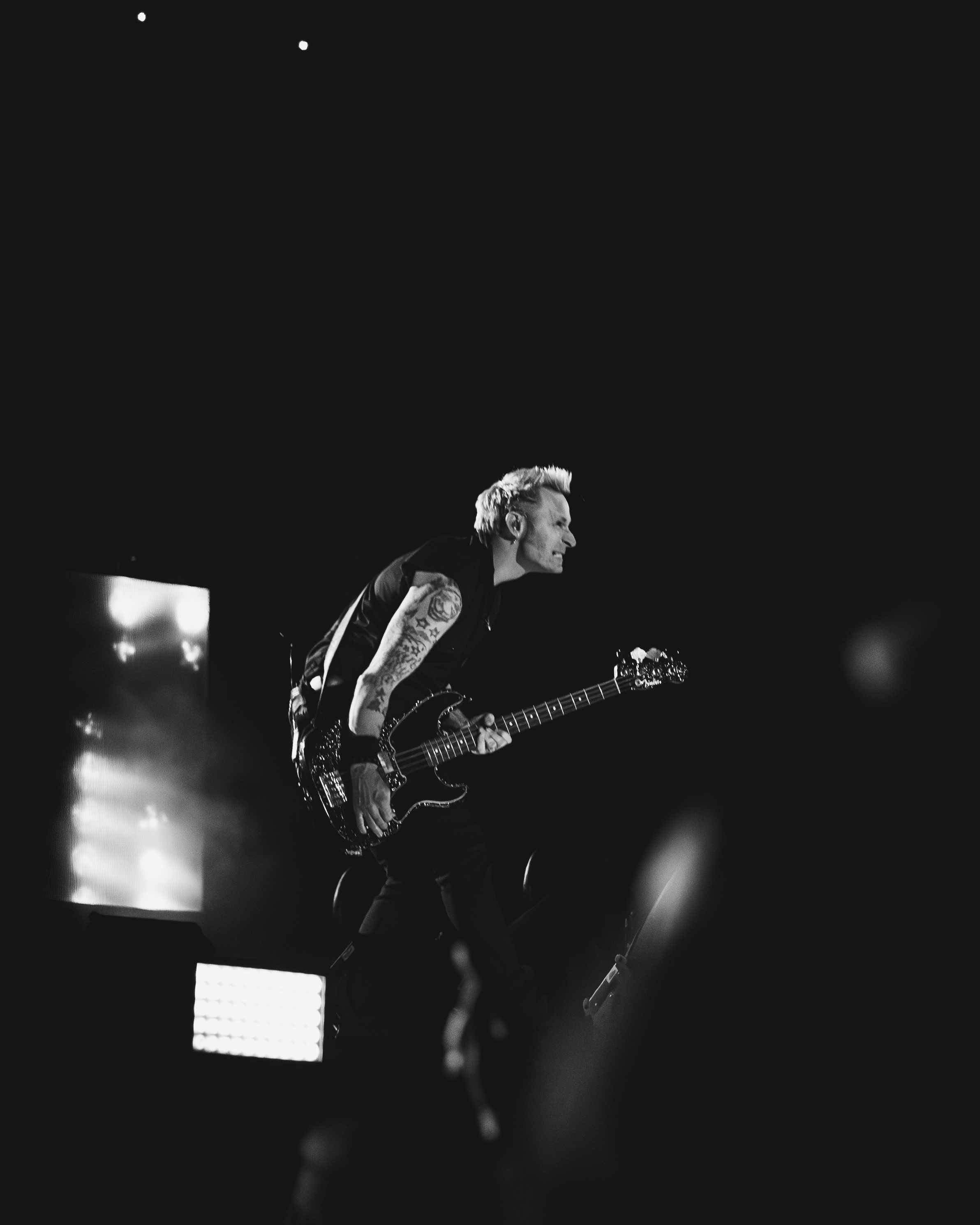 GreenDay-13.png