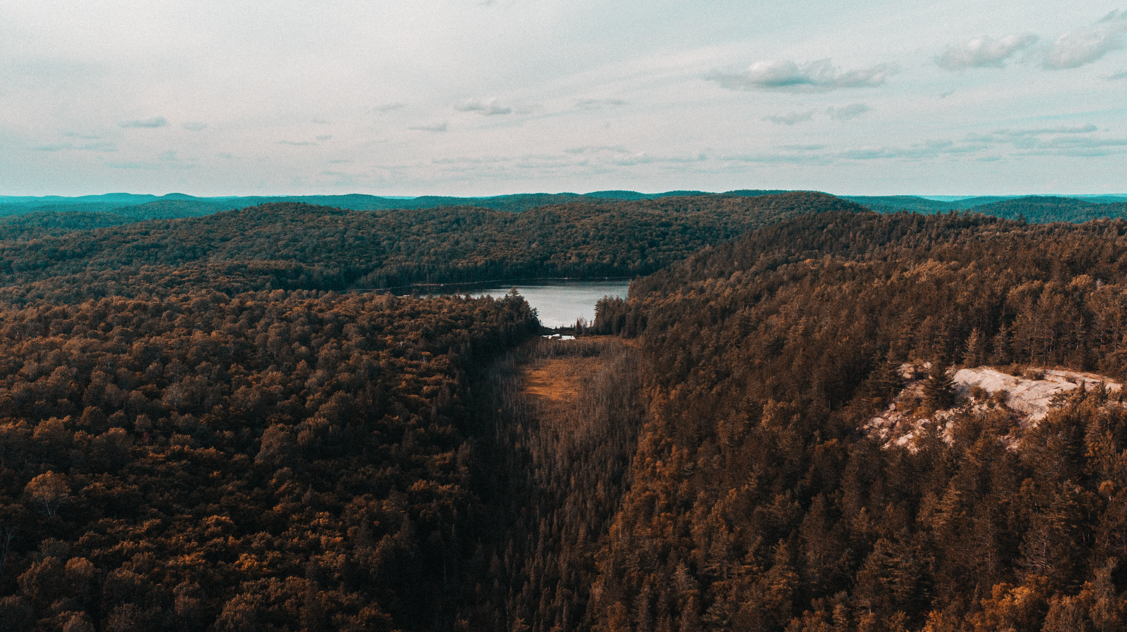 Screen Shot 2021-12-28 at 3.21.32 PM.png