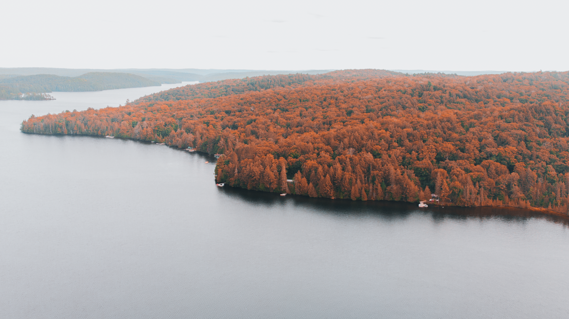 Screen Shot 2021-12-28 at 3.22.45 PM.png