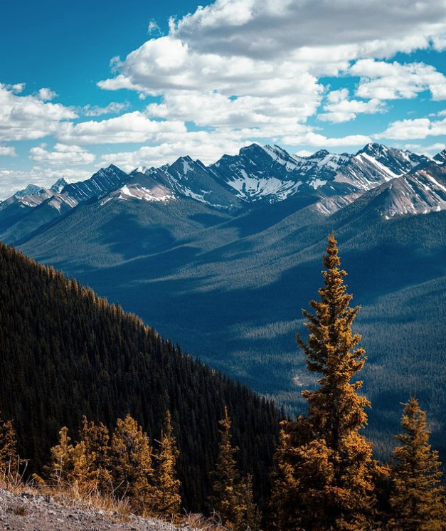 Screen Shot 2021-12-28 at 3.27.24 PM.png