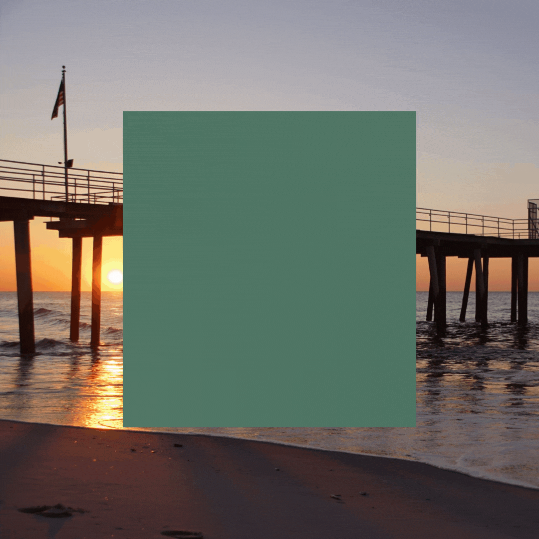 Untitled (1080 × 1080 px).gif