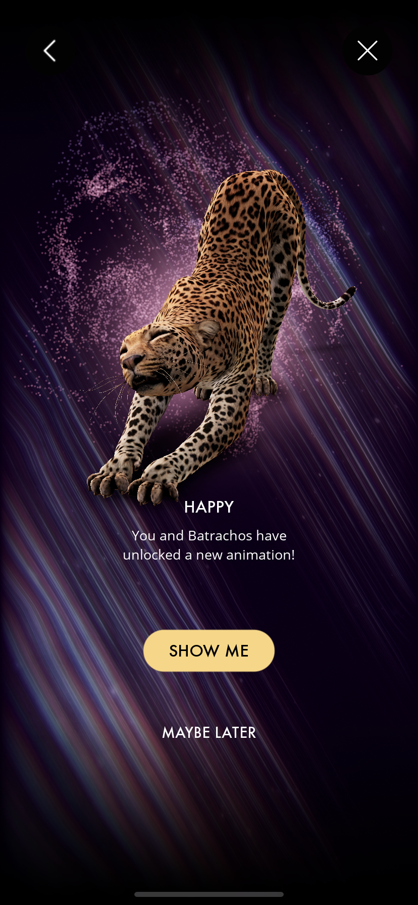 ANIMATION_UNLOCK_LEOPARD.PNG