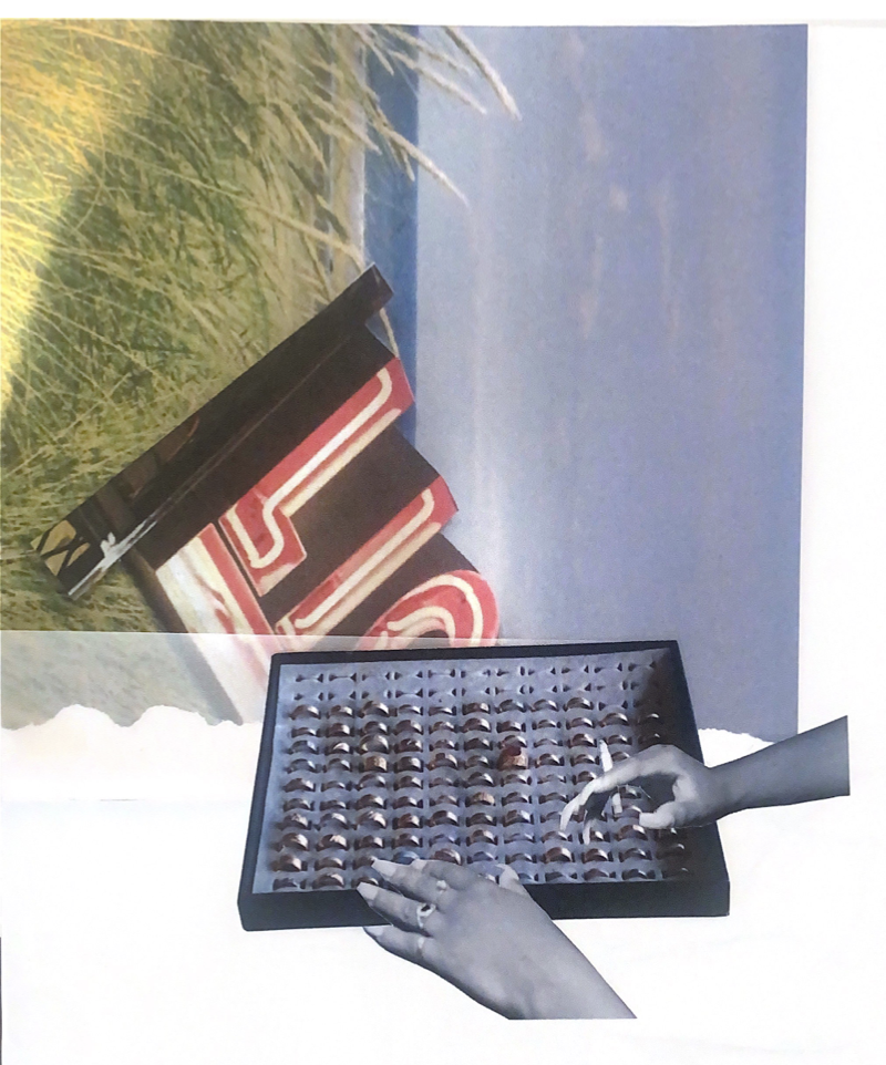 Screen Shot 2026-01-12 at 12.02.11 PM.png