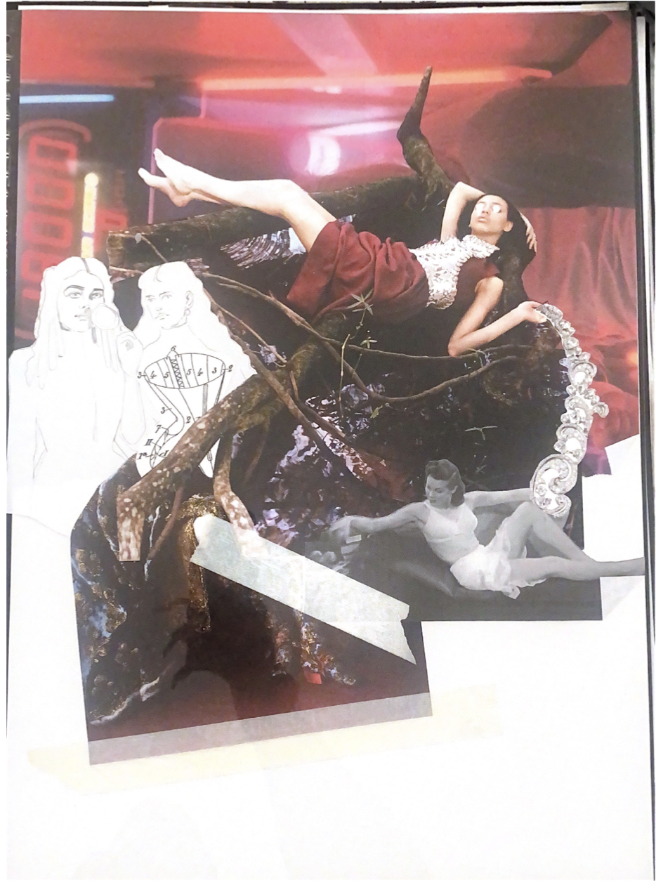 Screen Shot 2026-01-12 at 12.03.07 PM.png