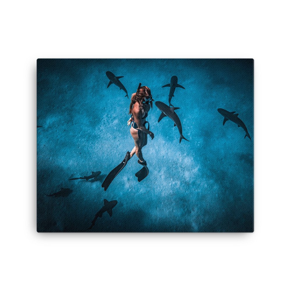 canvas-(in)-16x20-wall-62d5da1fa6c66.jpg