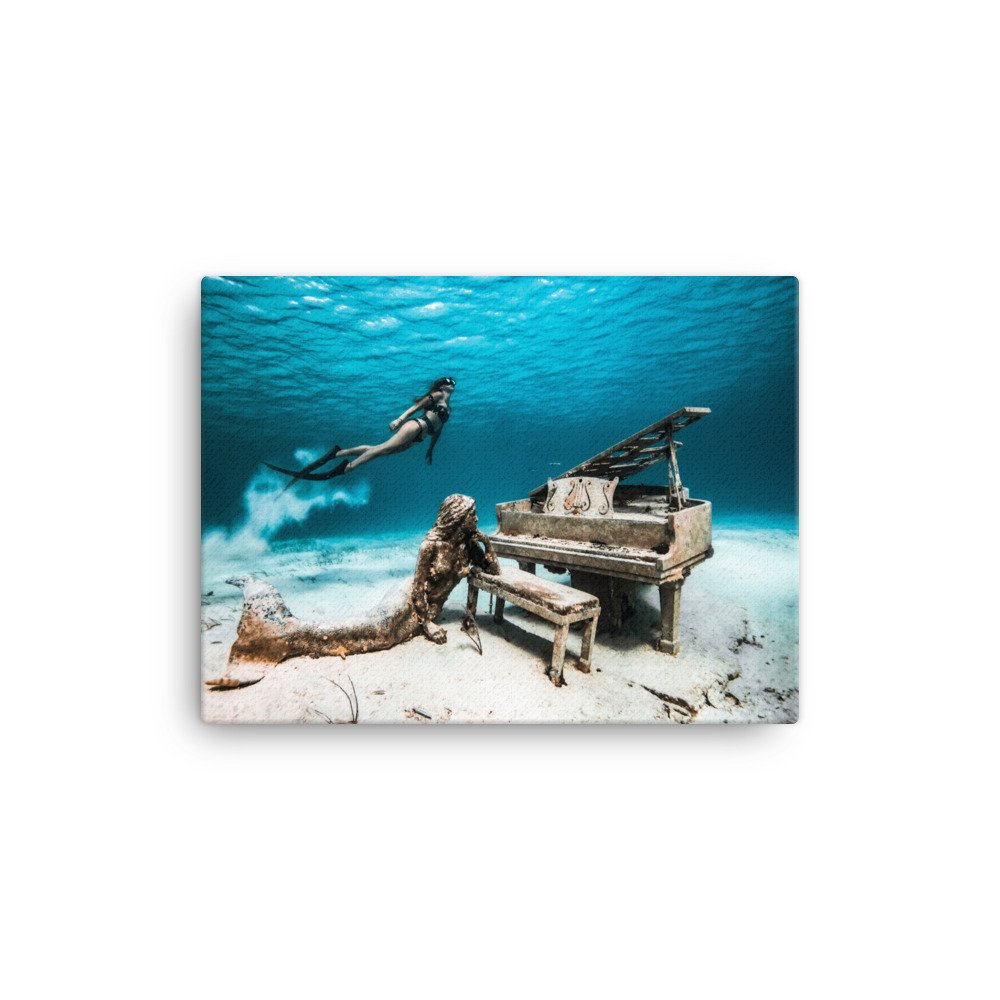 canvas-(in)-12x16-wall-62d5e398a7998.jpg