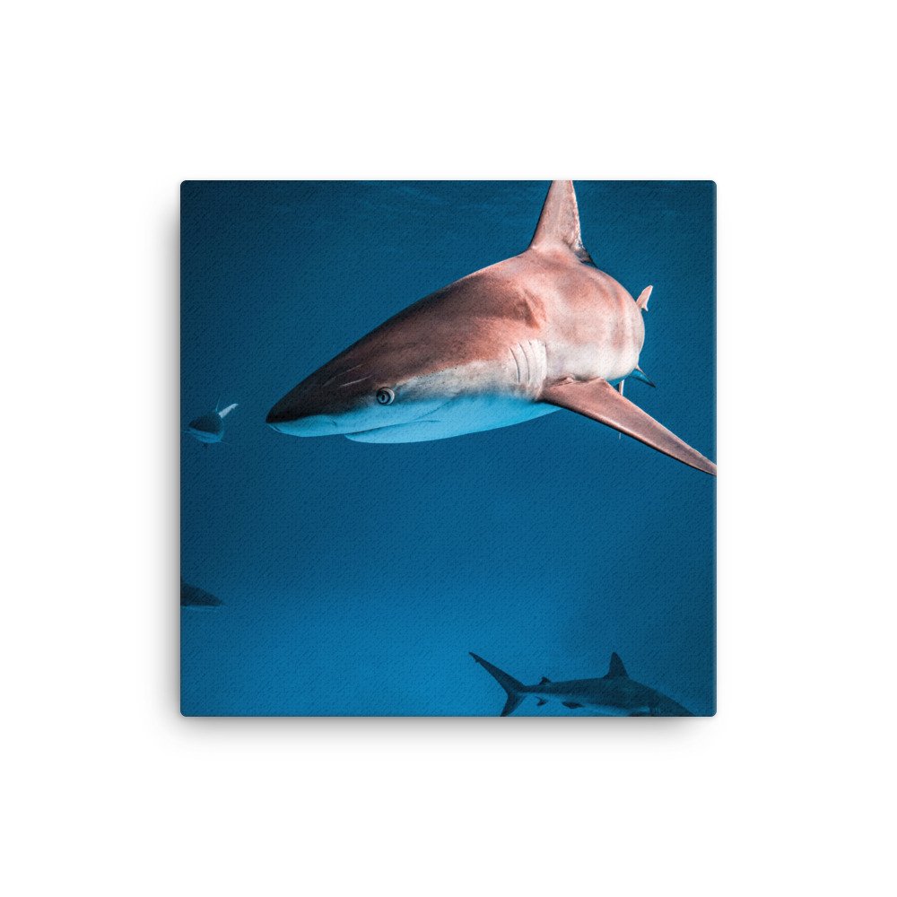 canvas-(in)-12x12-wall-62d6c717f0281.jpg