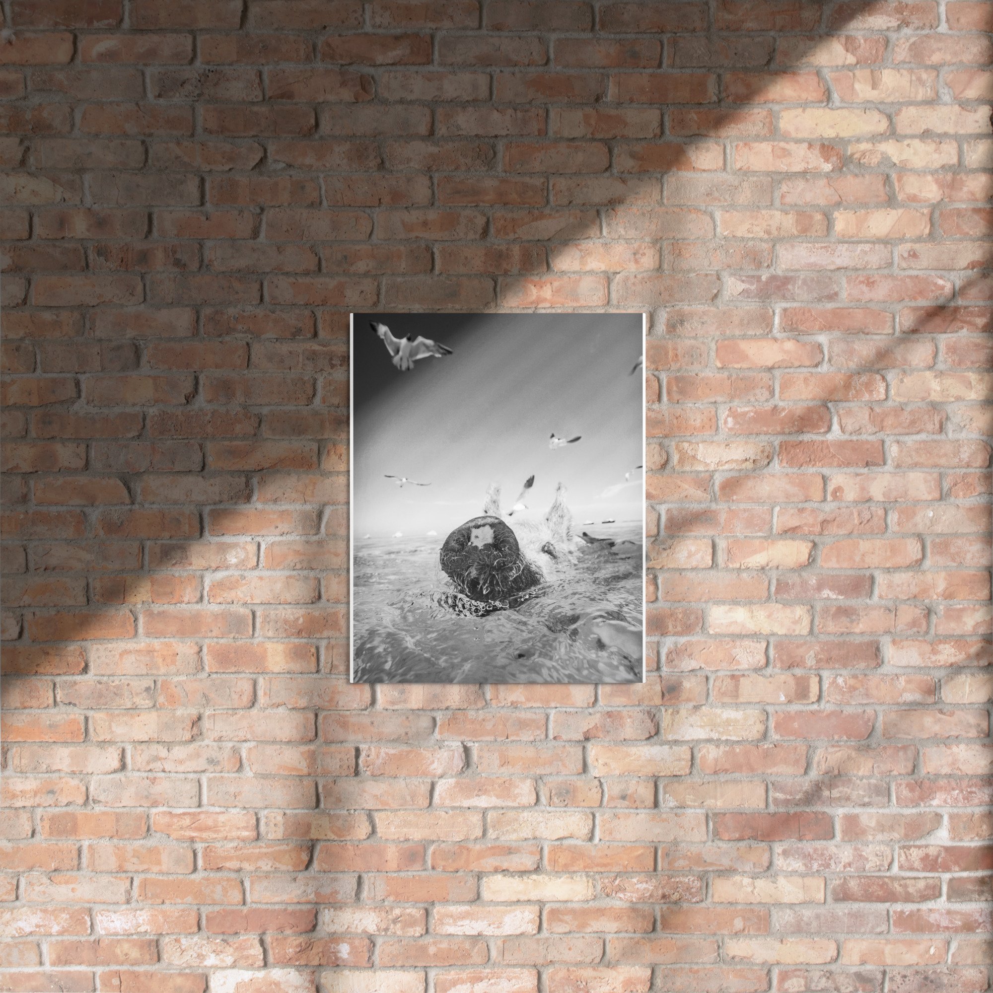 glossy-metal-print-(in)-white-16x20-front-664bb0dac88d0.jpg
