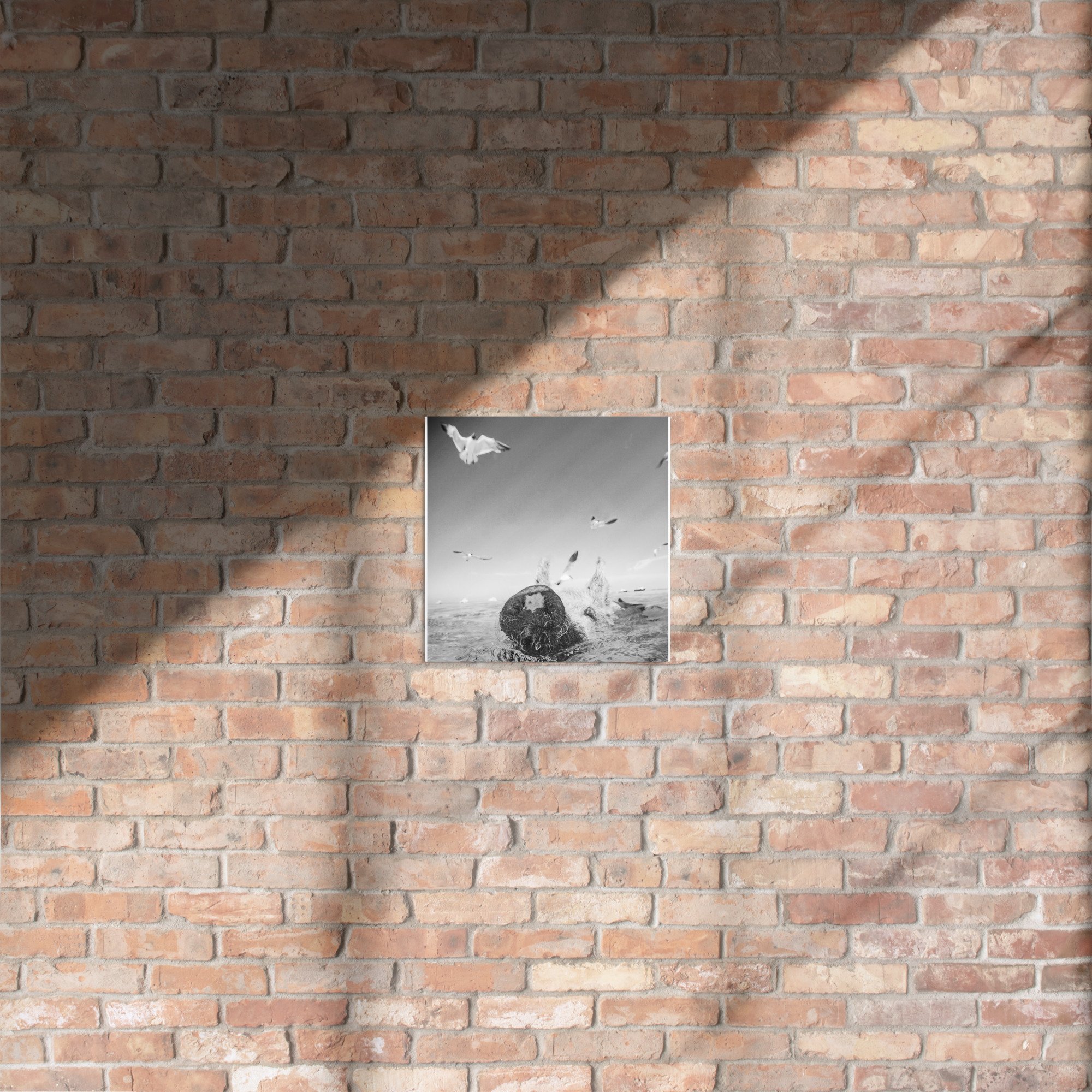 glossy-metal-print-(in)-white-12x12-front-664bb0dac9741.jpg
