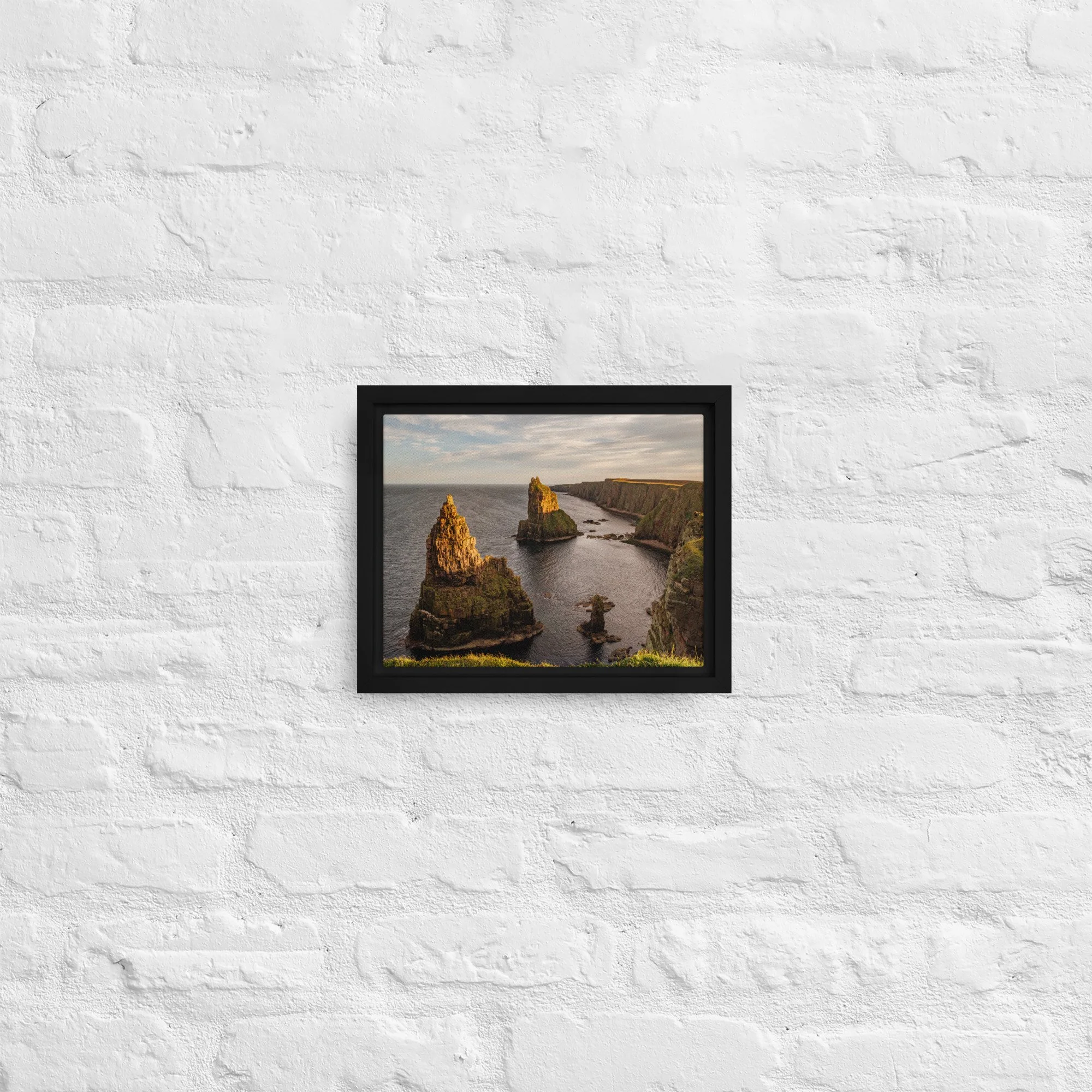 framed-canvas-(in)-black-8x10-front-68a8a1a332e4b.jpg