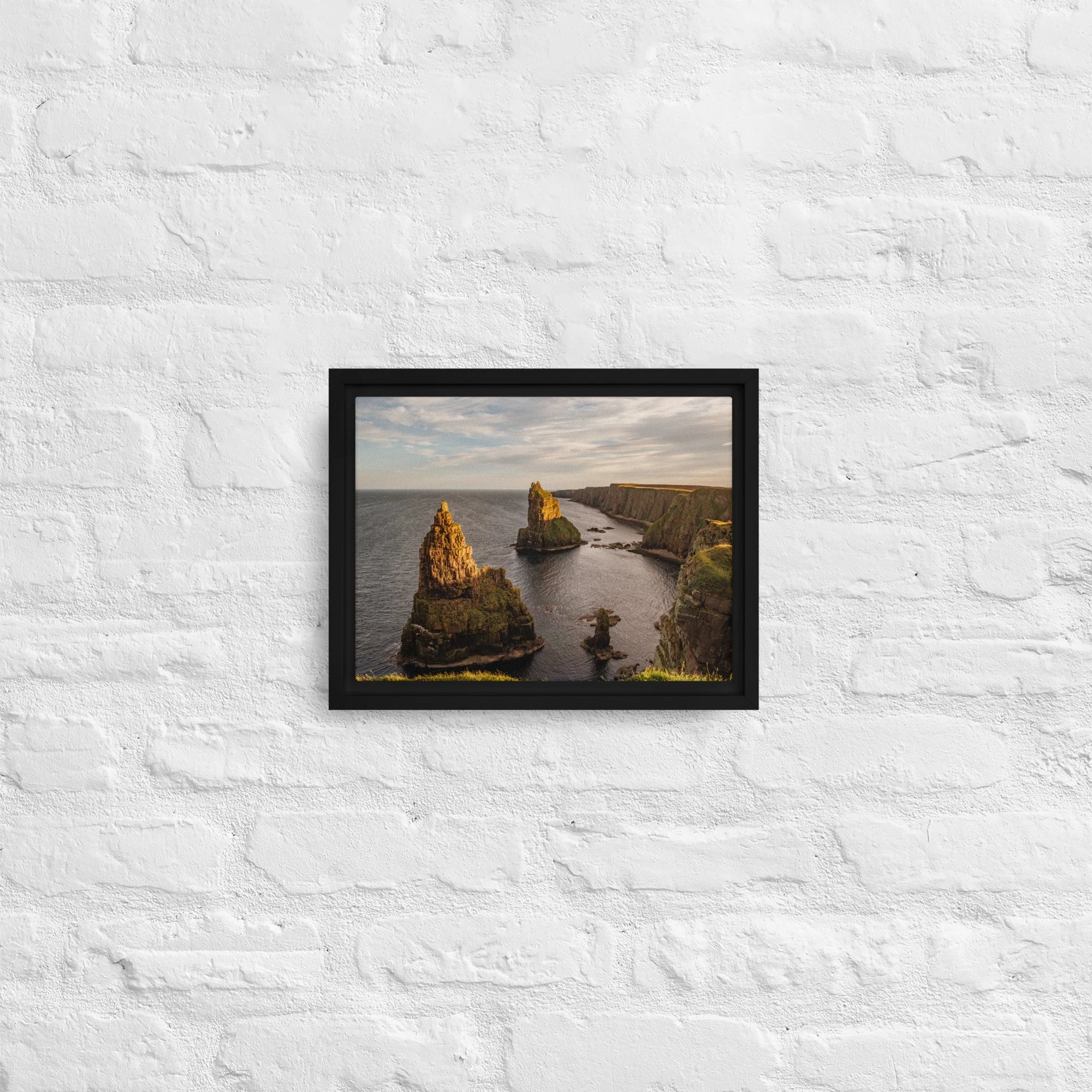 framed-canvas-(in)-black-9x12-front-68a8a1a332ec8.jpg