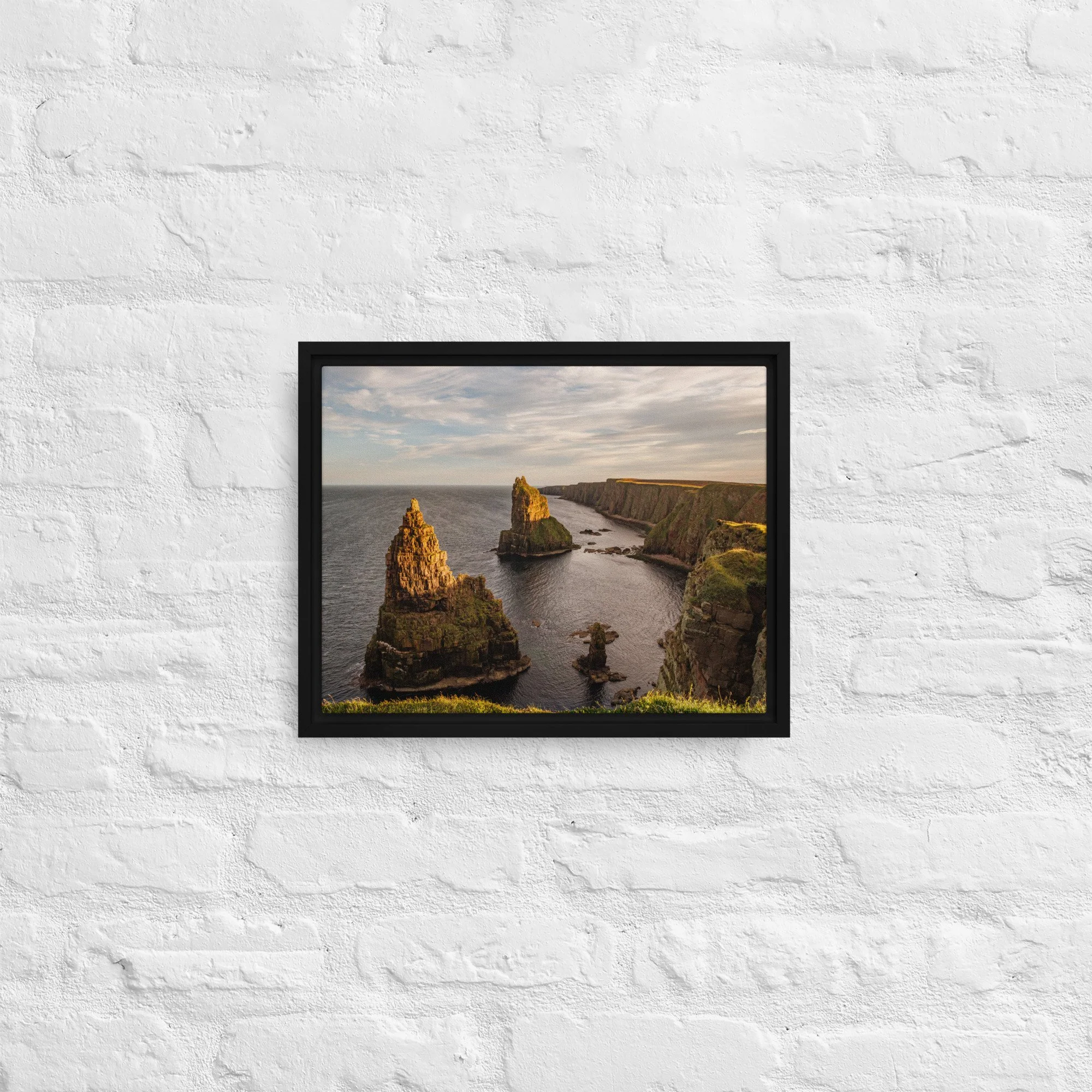 framed-canvas-(in)-black-11x14-front-68a8a1a332f2b.jpg