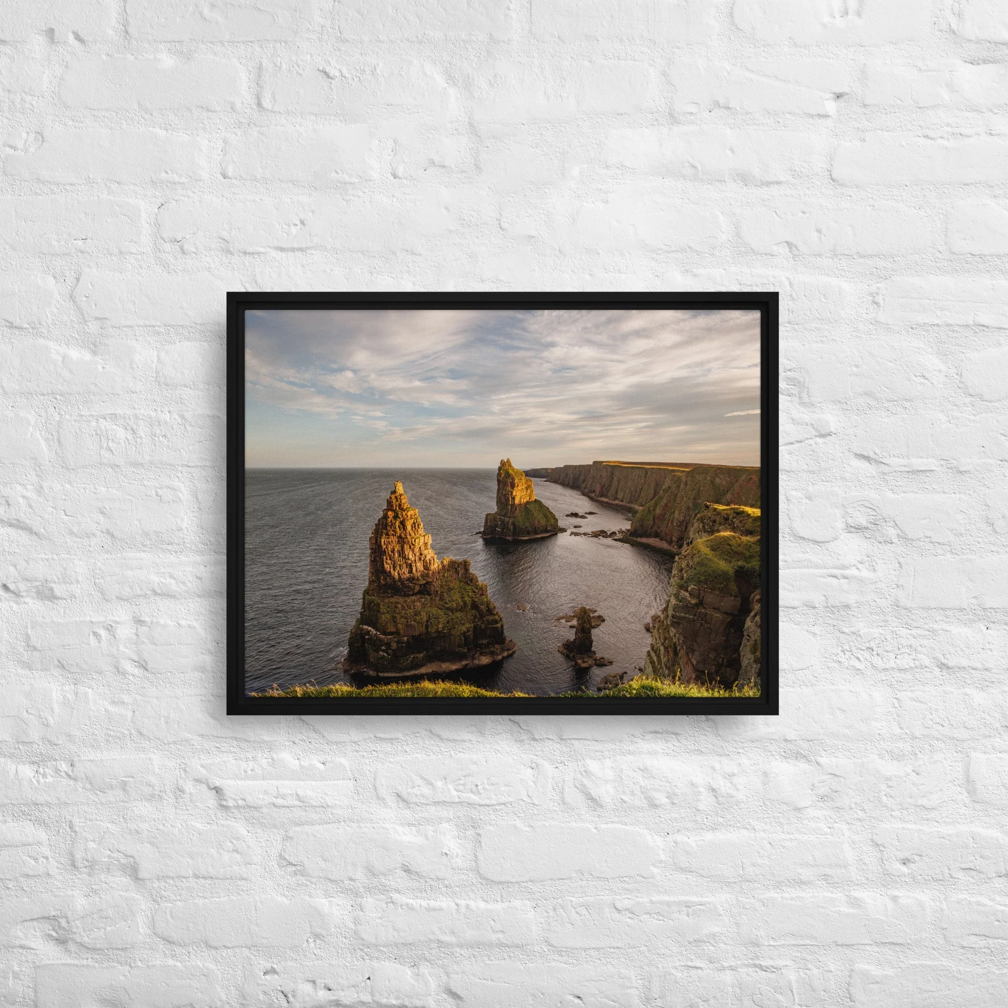 framed-canvas-(in)-black-18x24-front-68a8a1a33315f.jpg