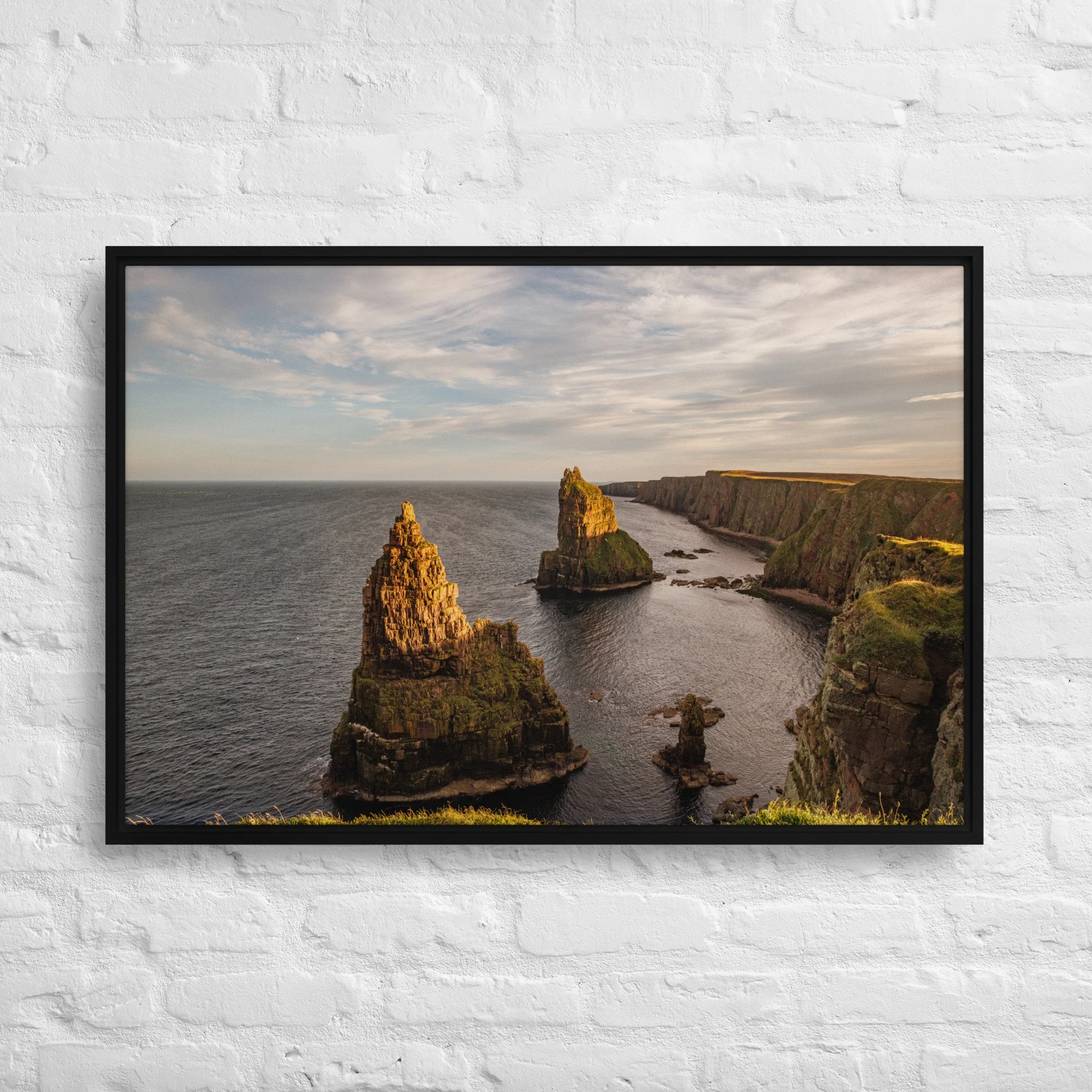 framed-canvas-(in)-black-24x36-front-68a8a1a33327f.jpg