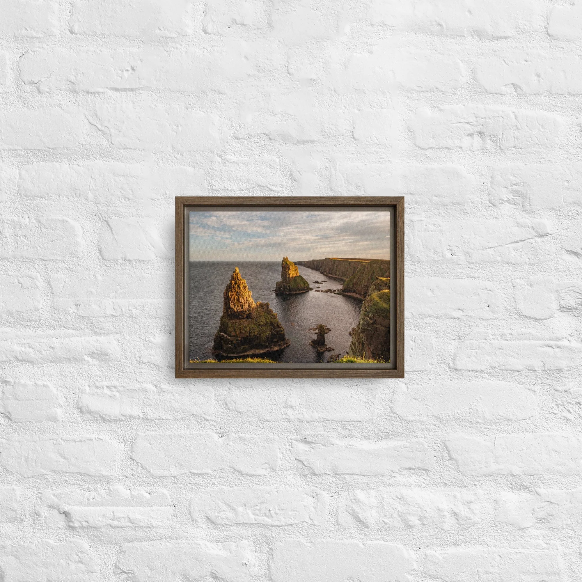 framed-canvas-(in)-brown-9x12-front-68a8a1a333333.jpg