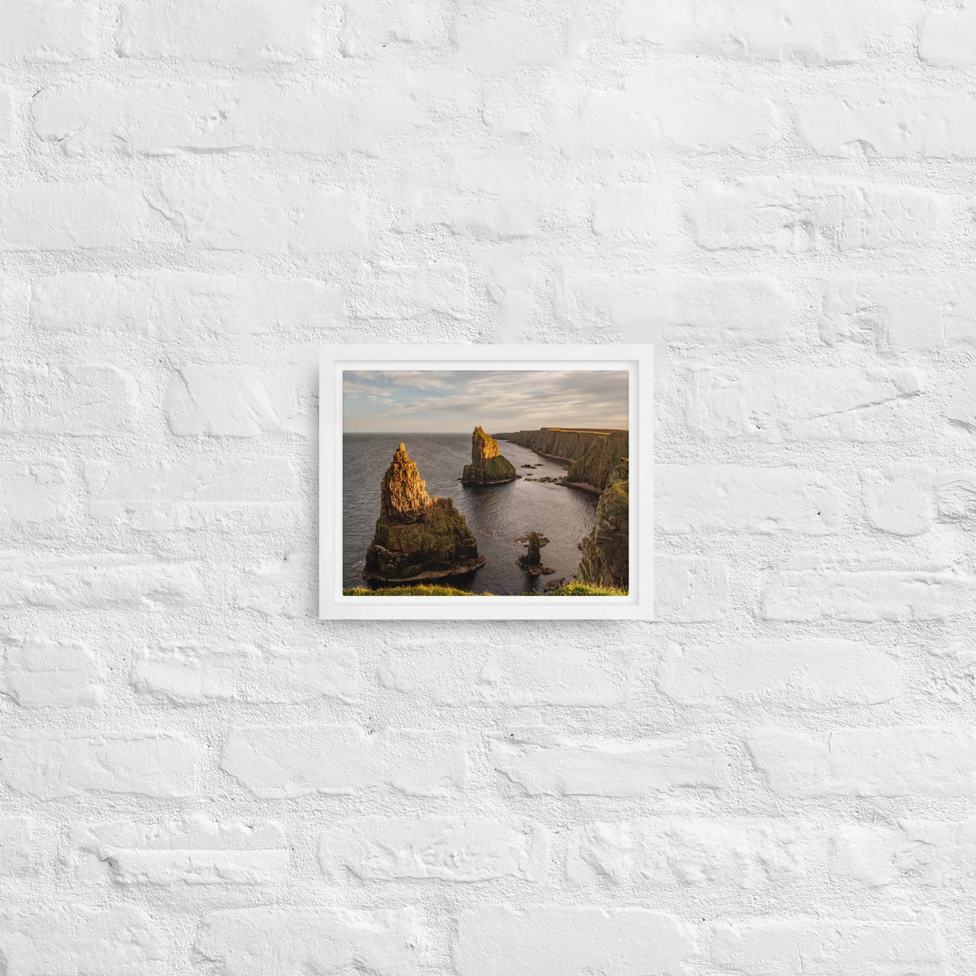framed-canvas-(in)-white-8x10-front-68a8a1a33395c.jpg