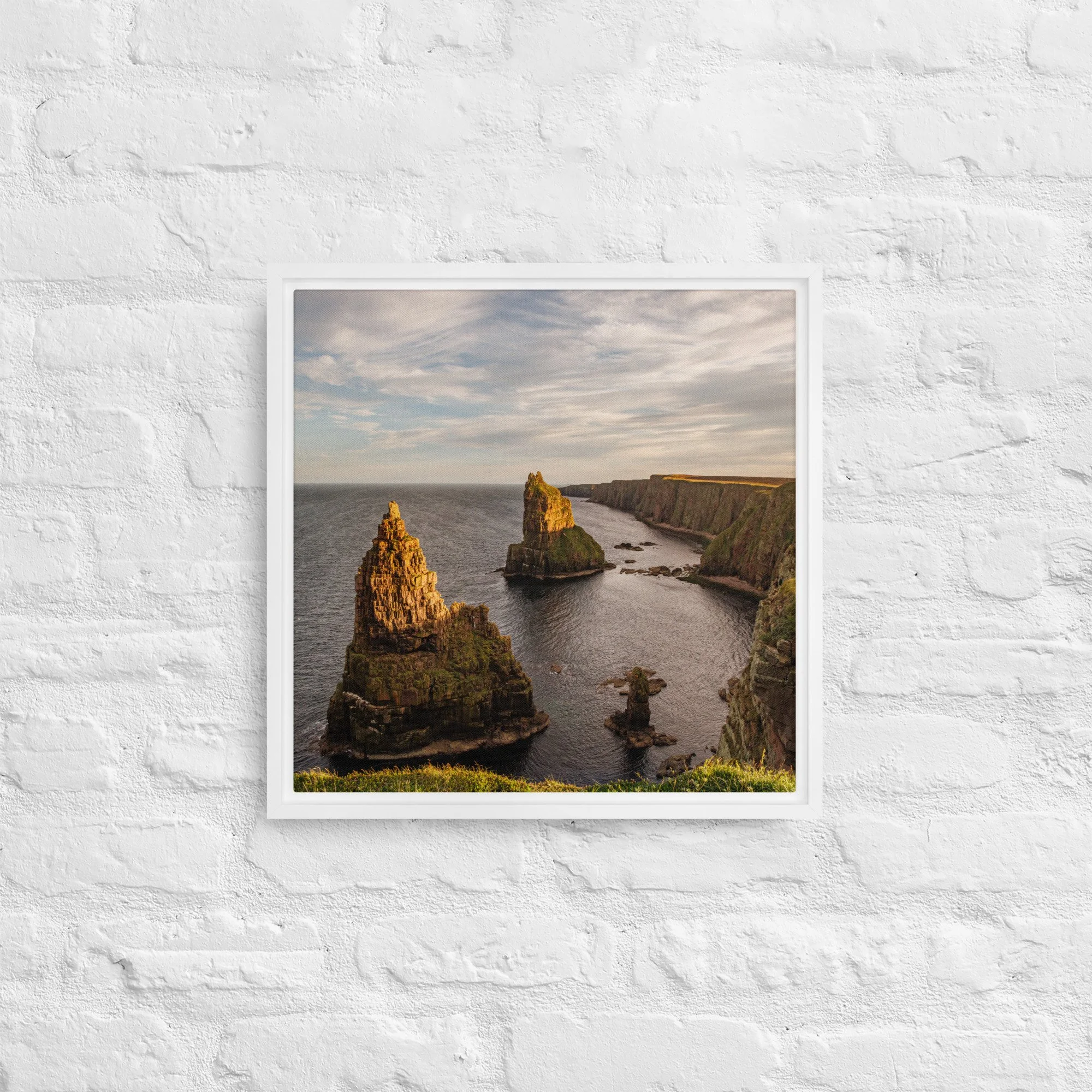 framed-canvas-(in)-white-16x16-front-68a8a1a333c3f.jpg
