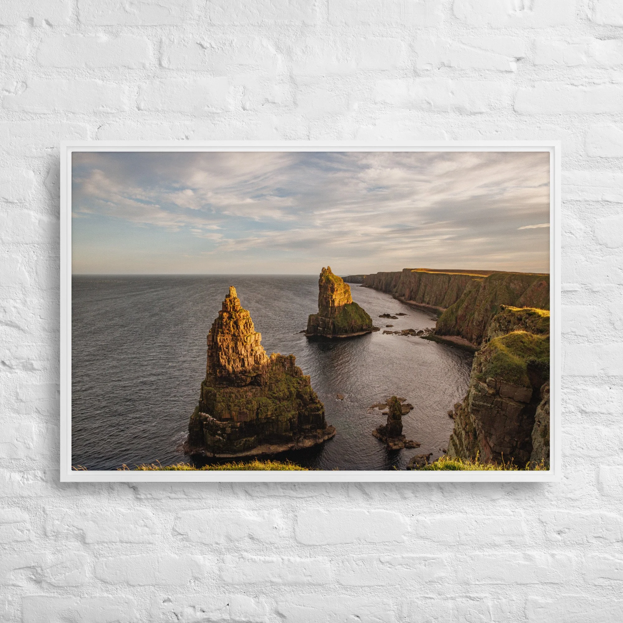 framed-canvas-(in)-white-24x36-front-68a8a1a333f1c.jpg