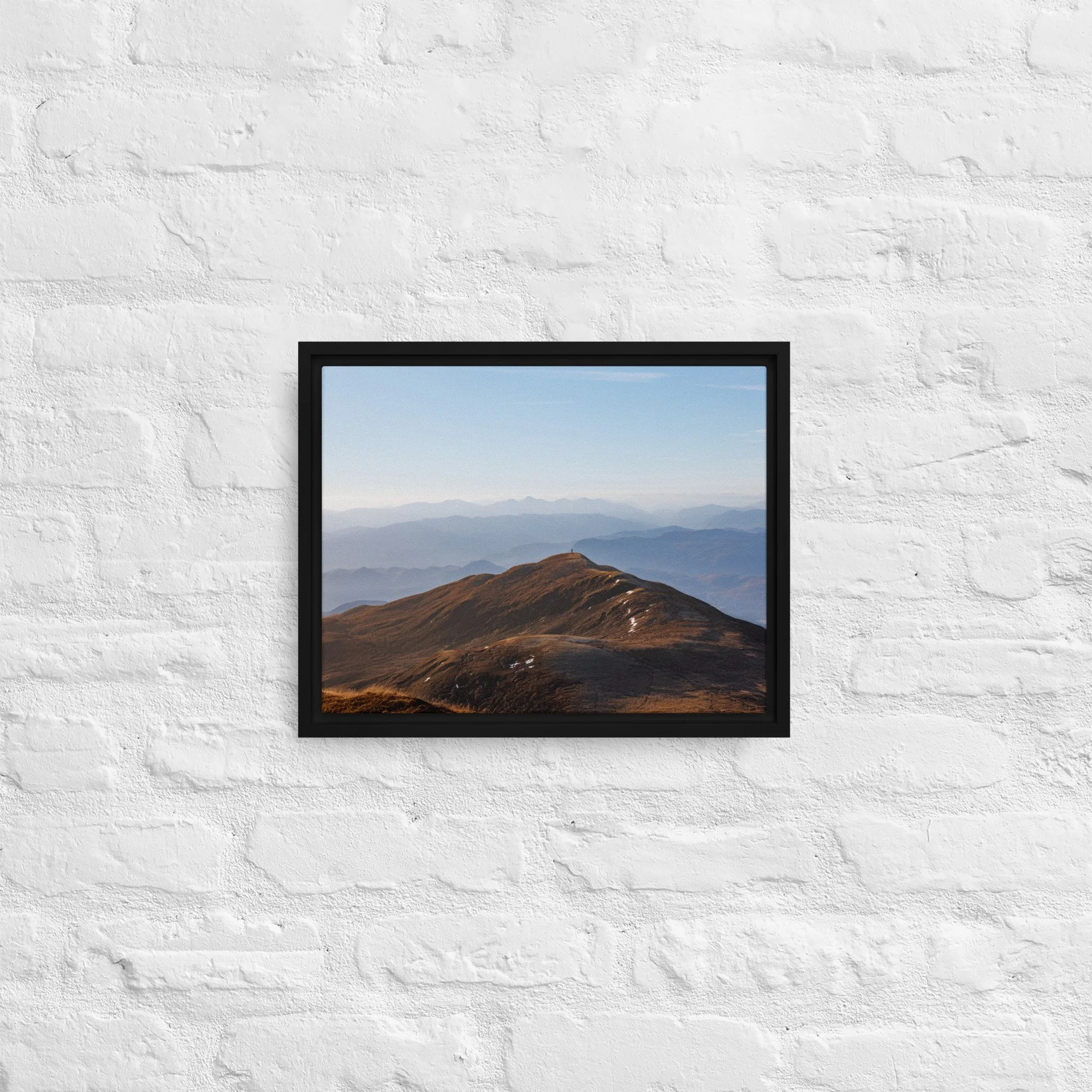 framed-canvas-(in)-black-11x14-front-68a8b7b6129d5.jpg