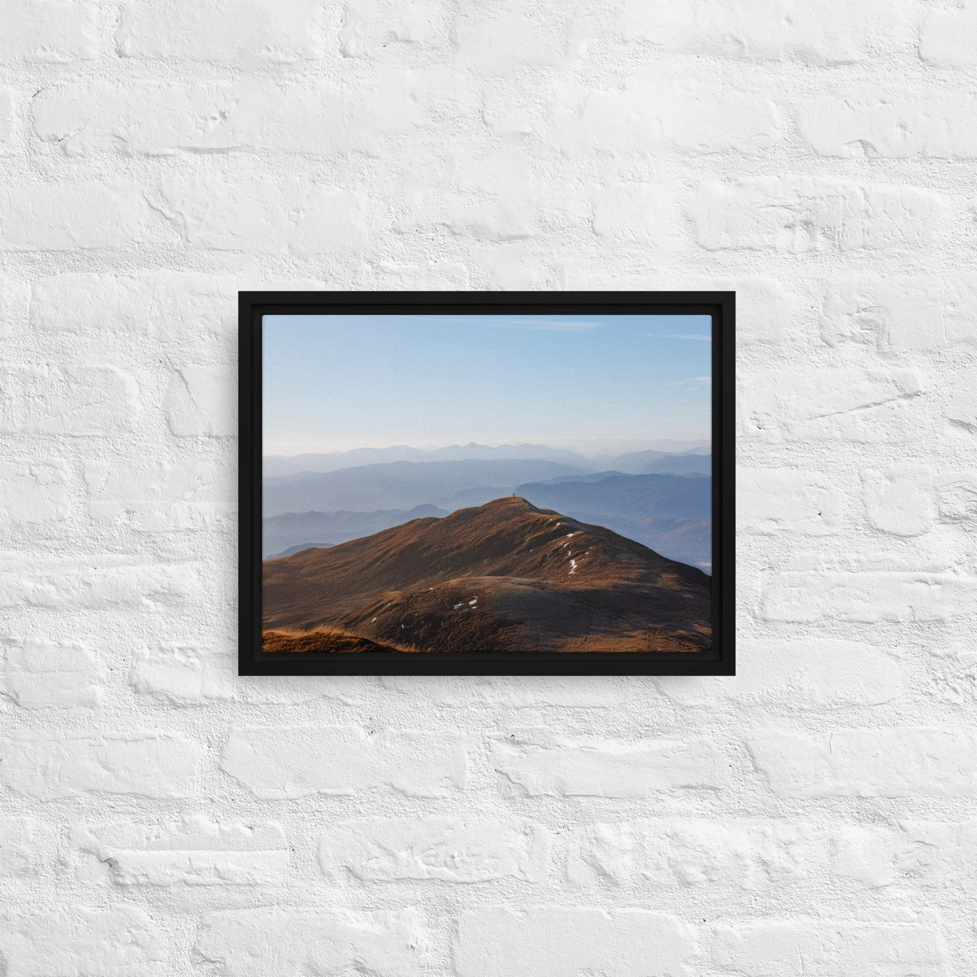 framed-canvas-(in)-black-12x16-front-68a8b7b612aa3.jpg